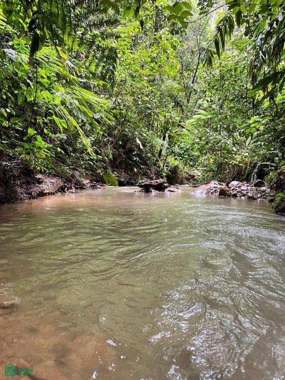 0 bed Land For Sale in Coto Brus, Puntarenas - 1