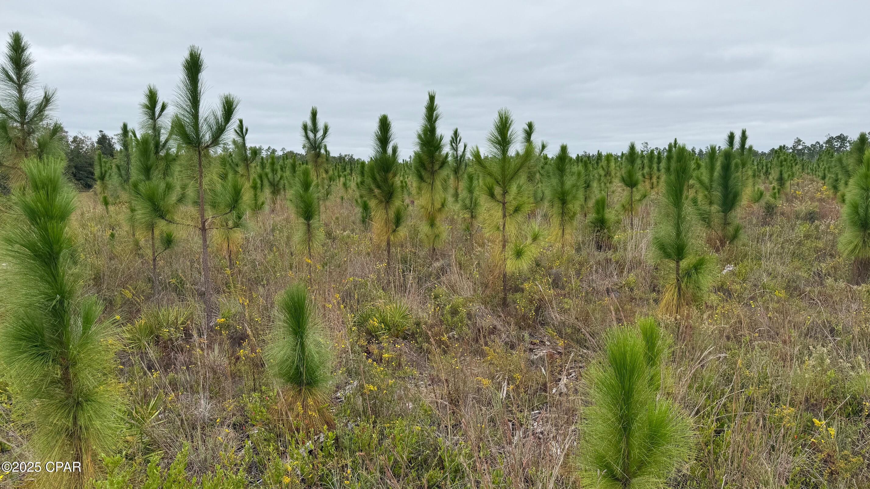 Listing photo id 1 for 10900 Hwy 388