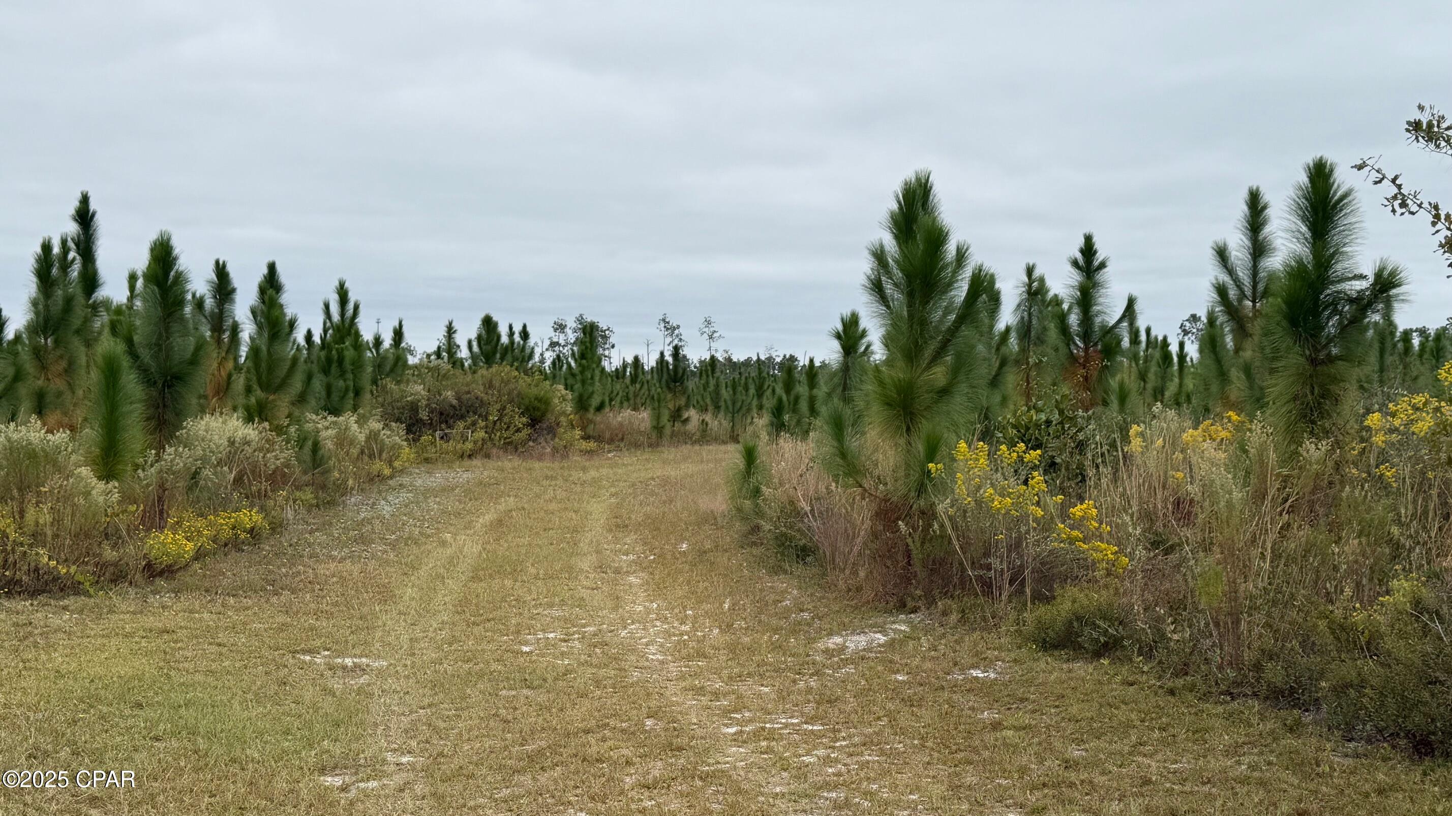 Listing photo id 2 for 10900 Hwy 388