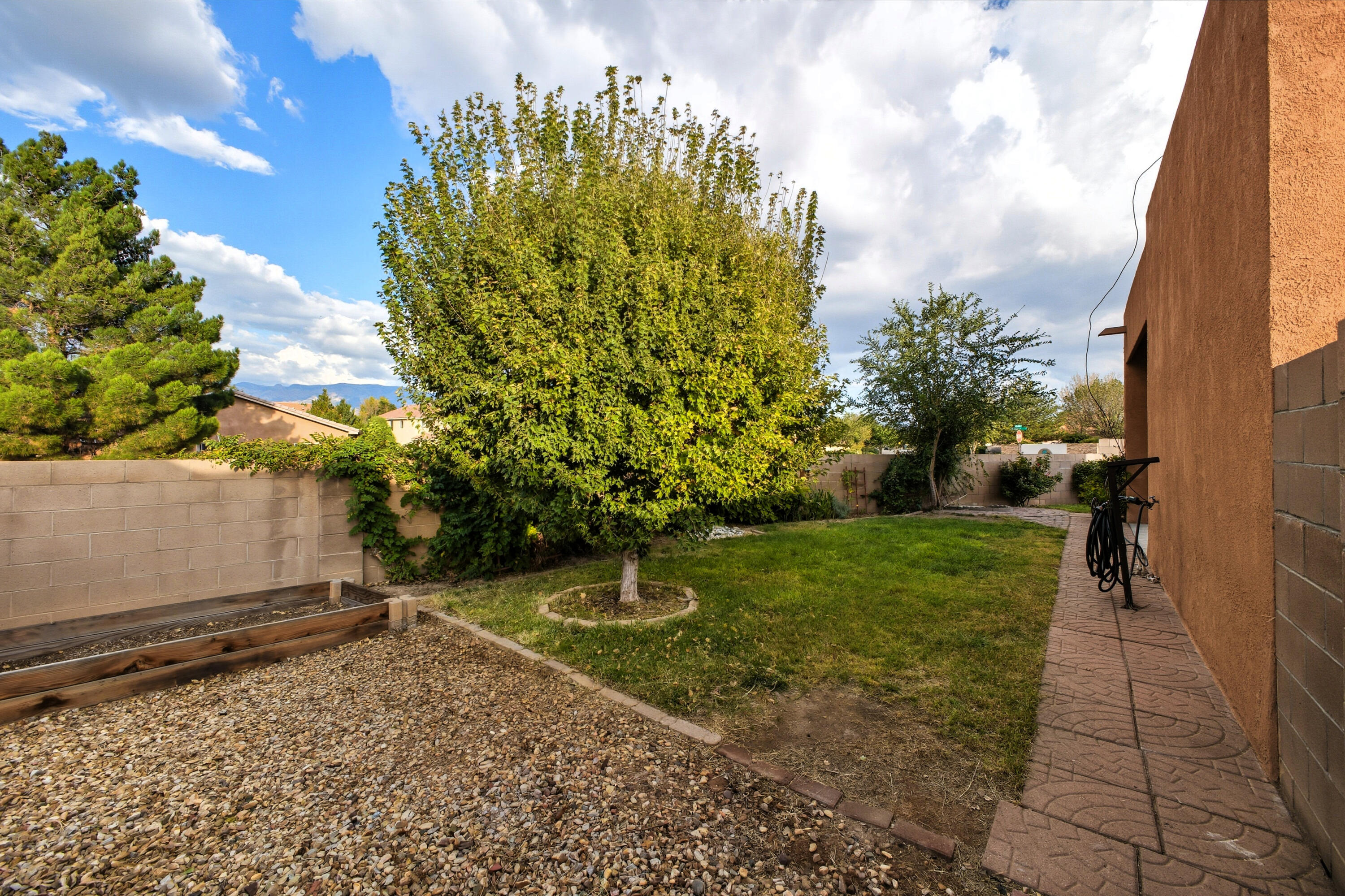 1119 Via Tomas NE Backyard