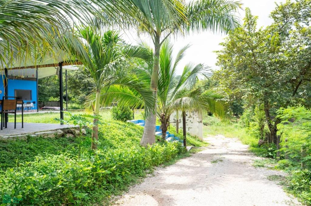 6 bed Single Family Homes For Sale in Santa Cruz, Guanacaste - 1