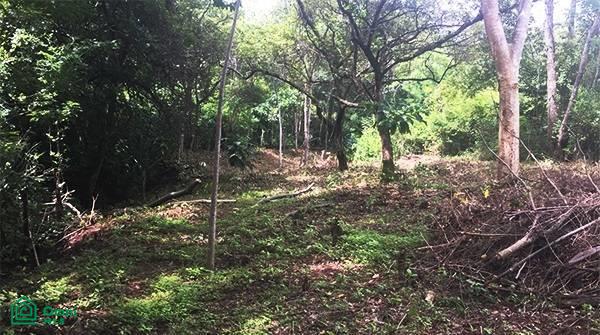 0 bed Land For Sale in Santa Cruz, Guanacaste - 1