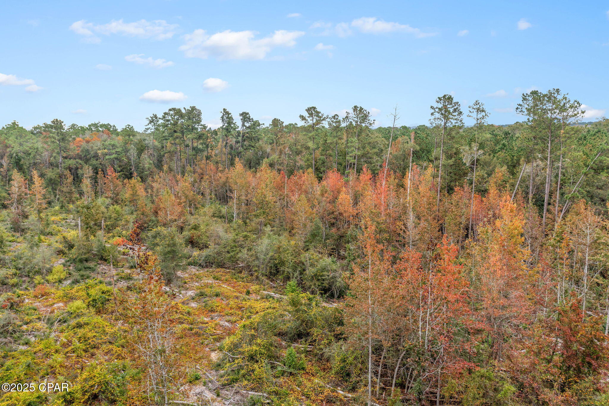 Image 11 For 000 Mud Hill Road
