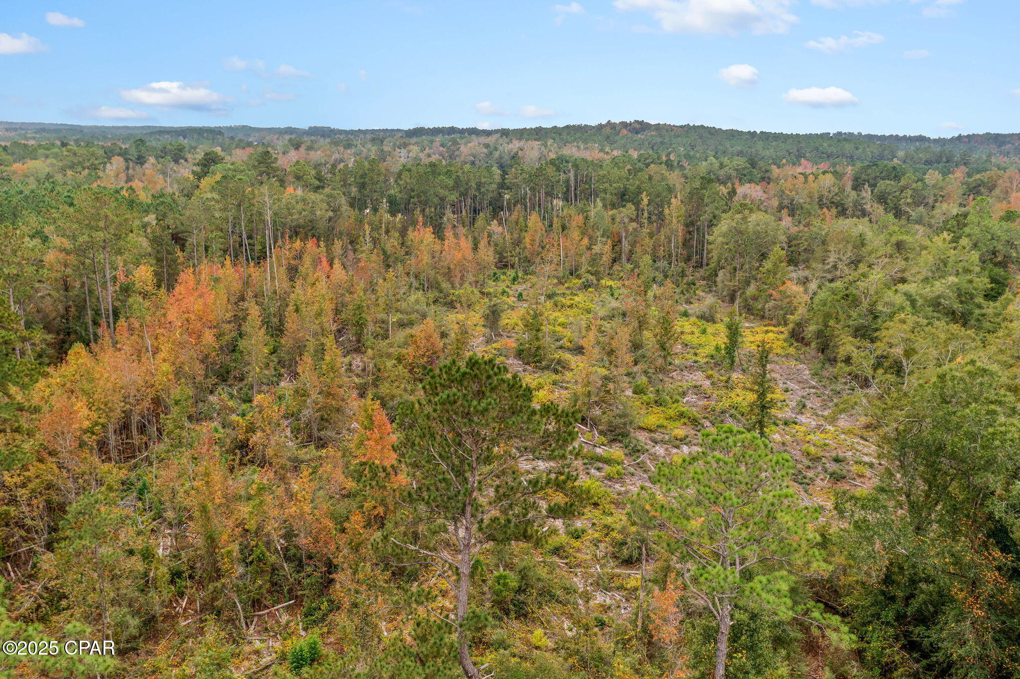 Image 13 For 000 Mud Hill Road
