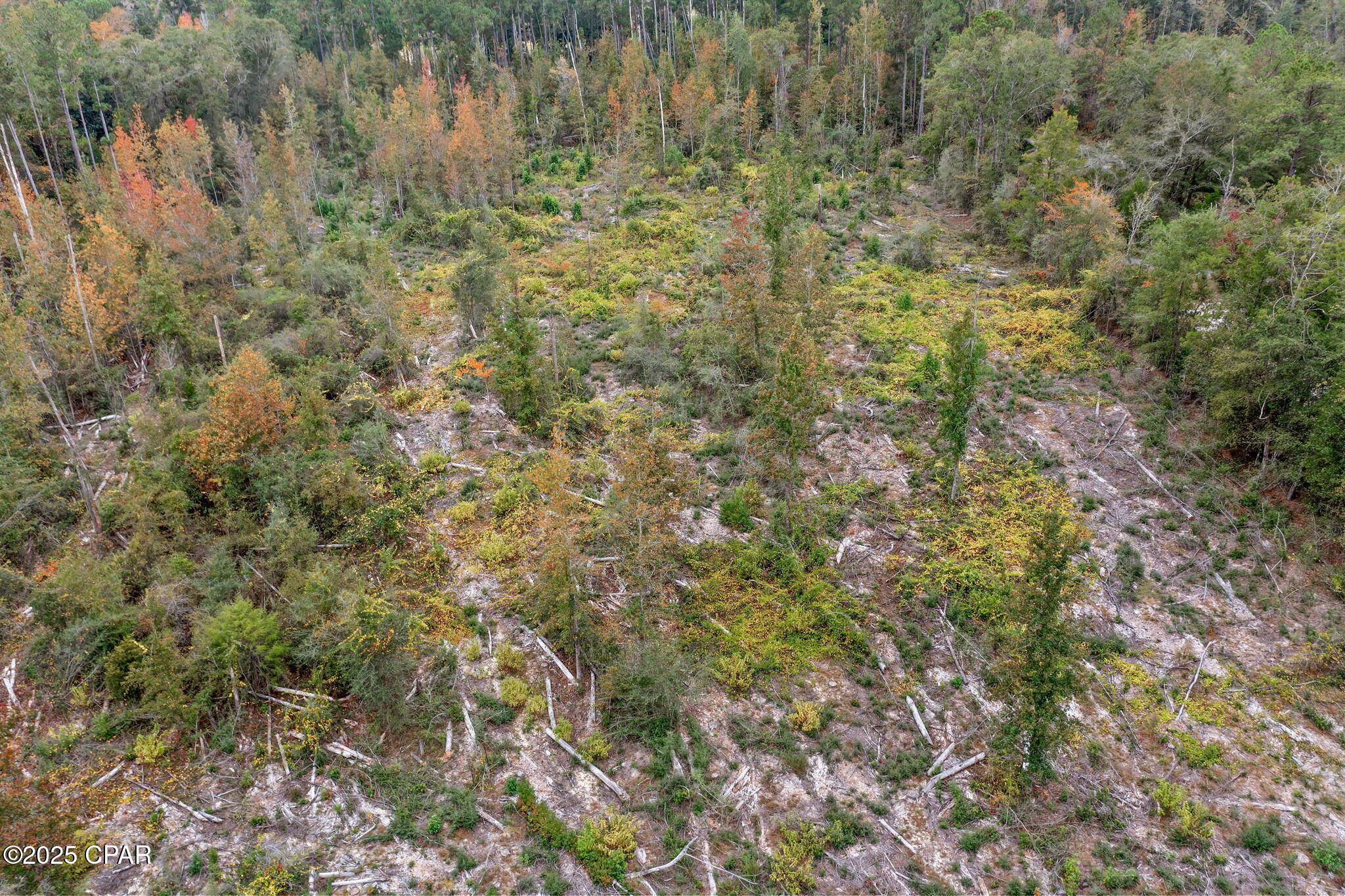 Image 14 For 000 Mud Hill Road