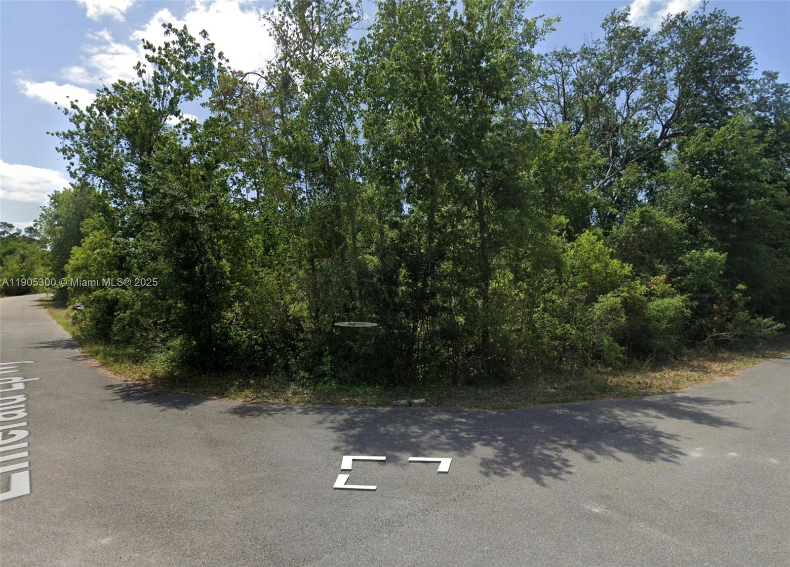 Silver Springs Shores Unit