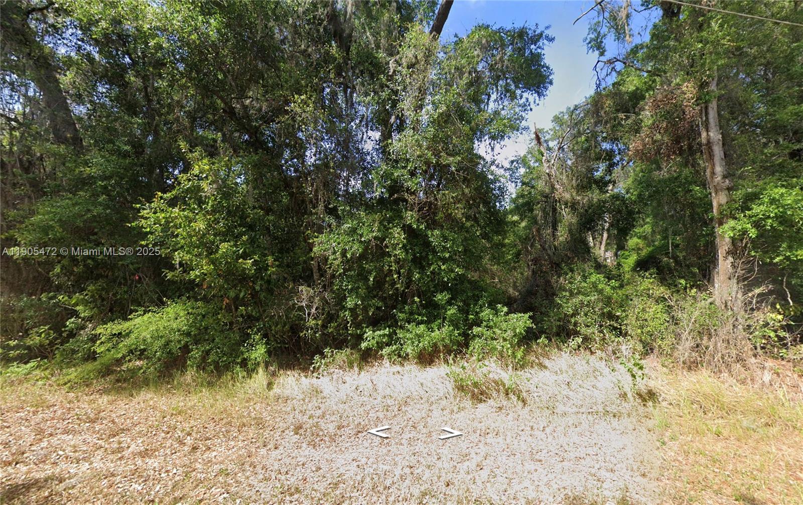 Silver Springs Shores Unit