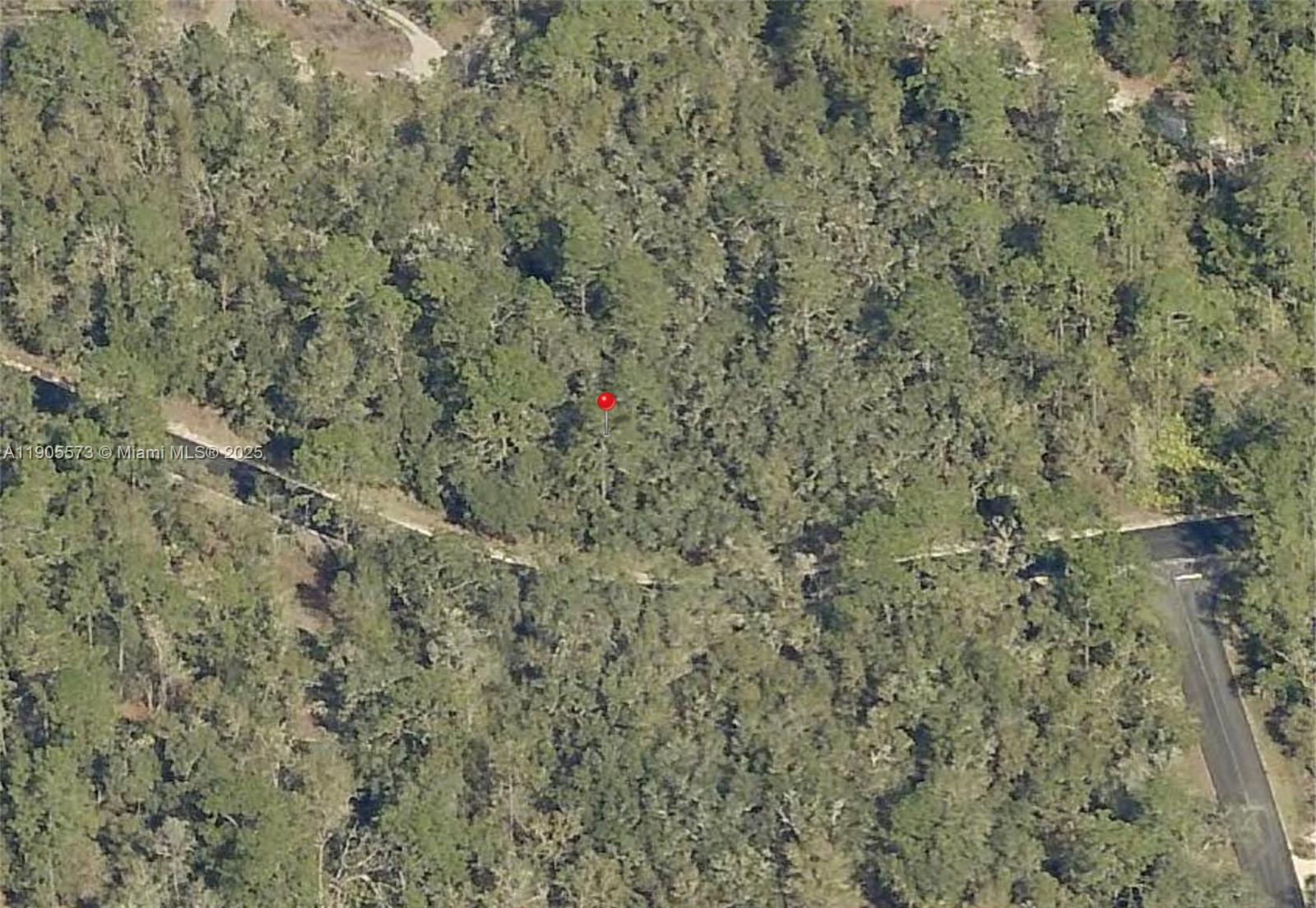 Silver Springs Shores #51