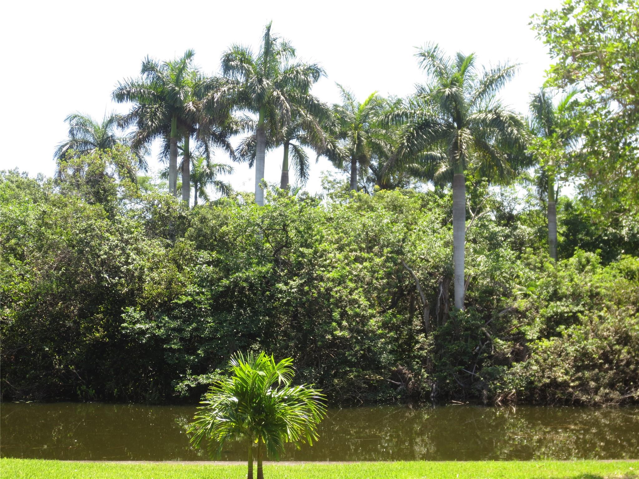 Homes for sale in Oakland Park, FL | 102 Royal Park Dr #3F, Oakland Park, FL 33309 | MLS# F10535248