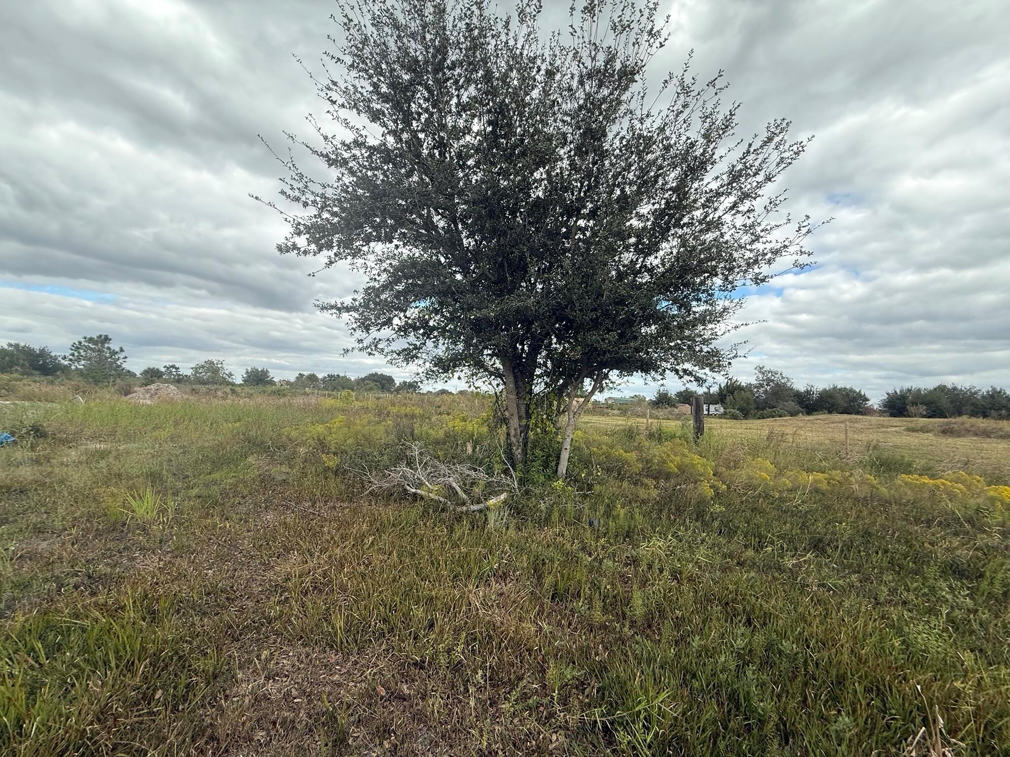 Southern Colonization Co