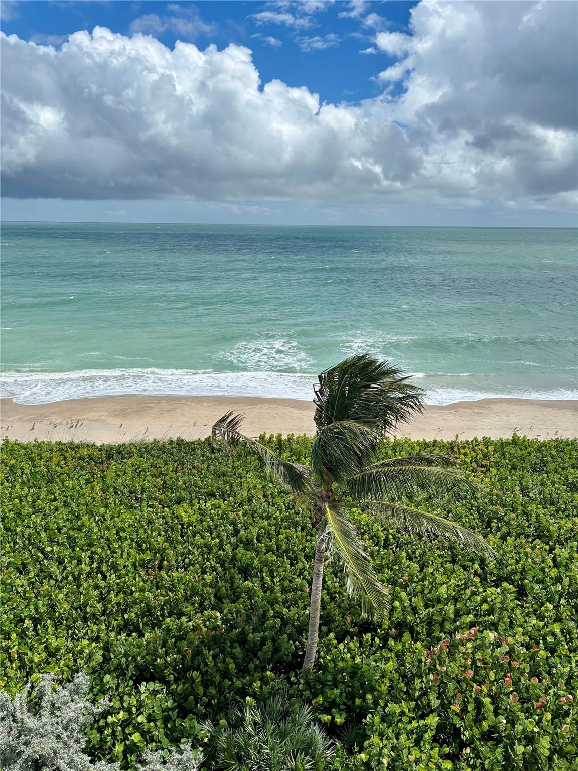 Homes for sale in Jensen Beach, FL | 9940 S Ocean Dr #501, Jensen Beach, FL 34957 | MLS# F10535343