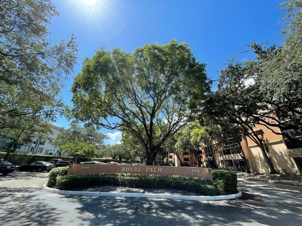 Royal Palm At Plantation