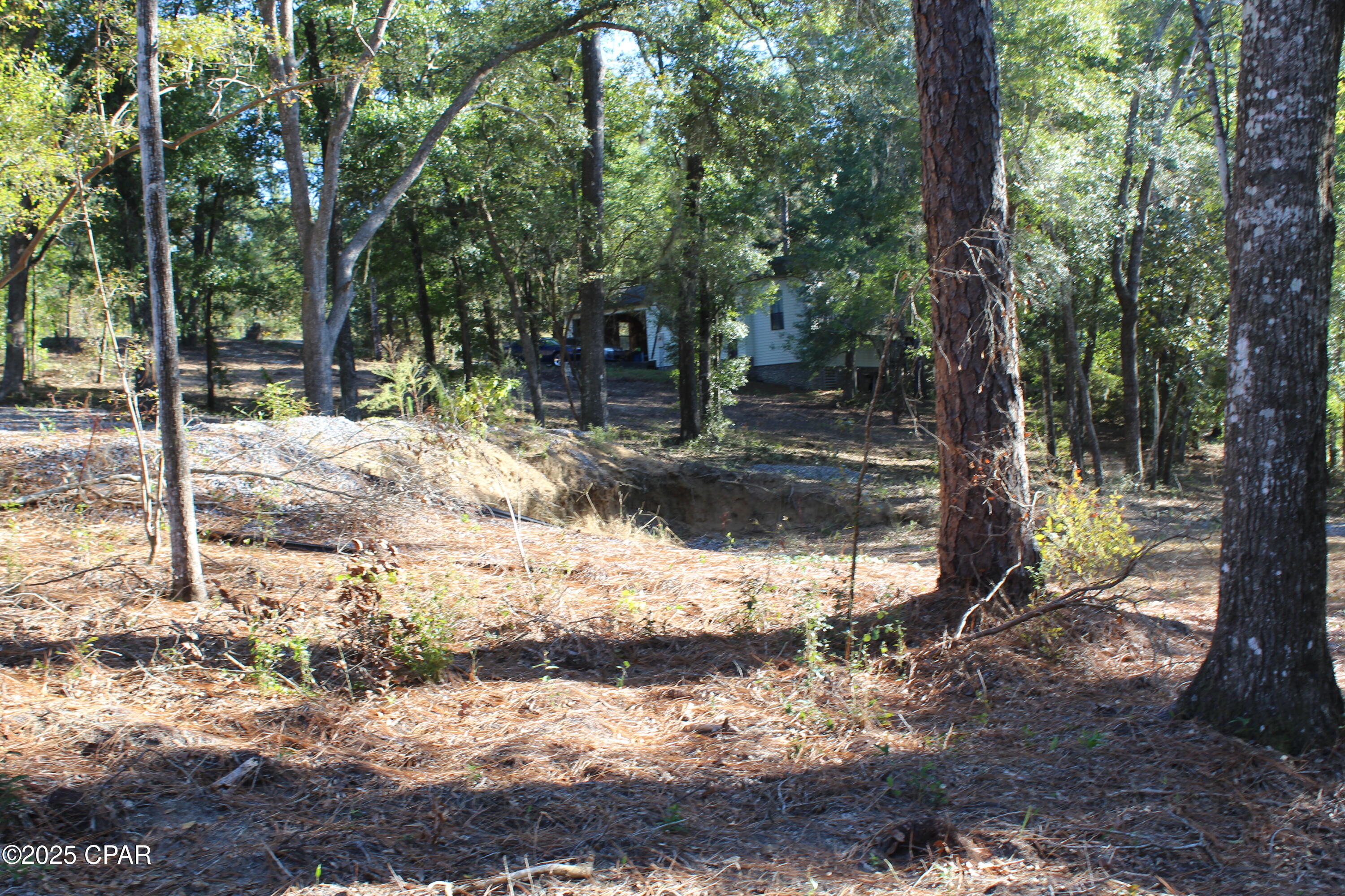 Image 12 For Lot 21 Paradise Lakes Road