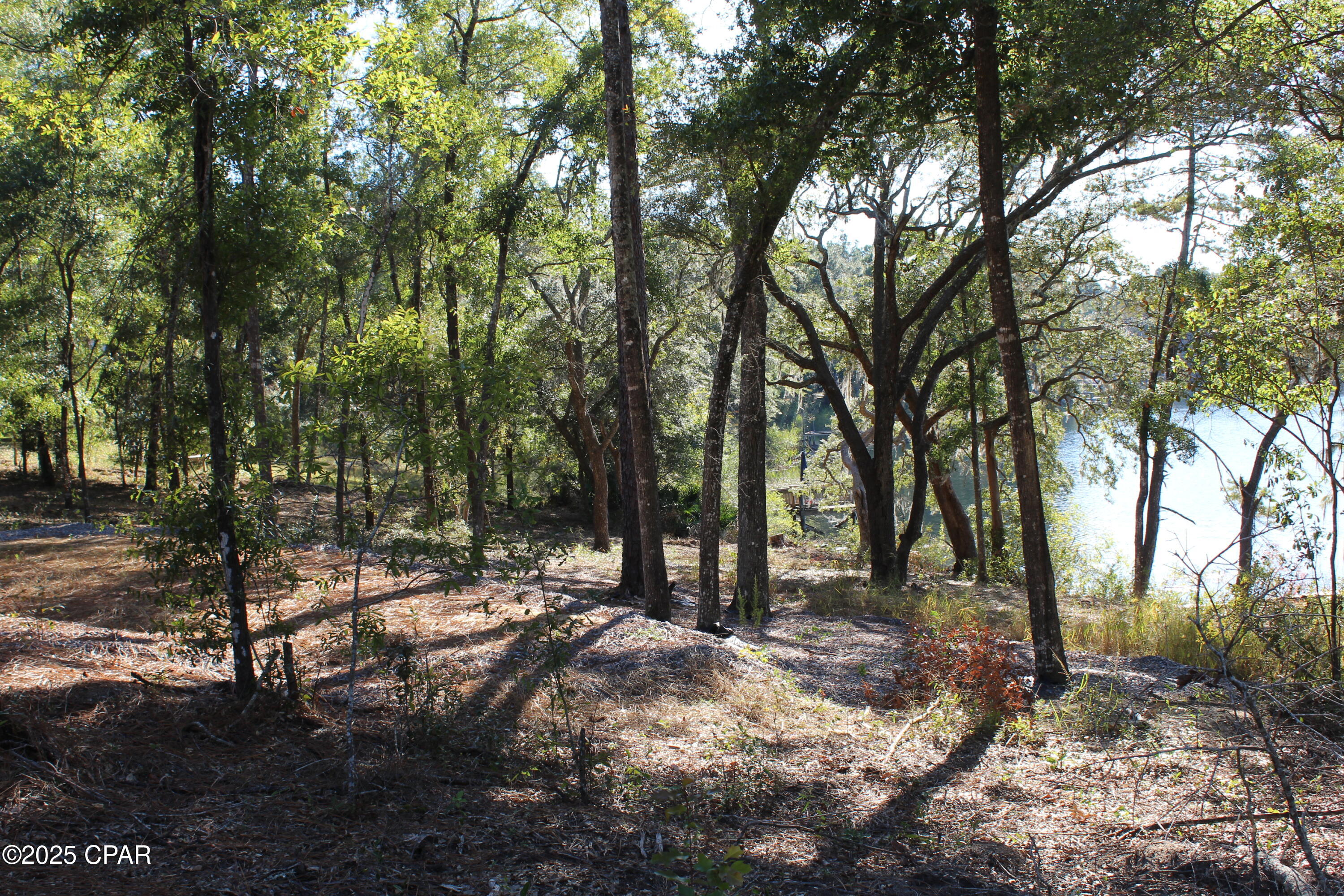 Image 13 For Lot 21 Paradise Lakes Road