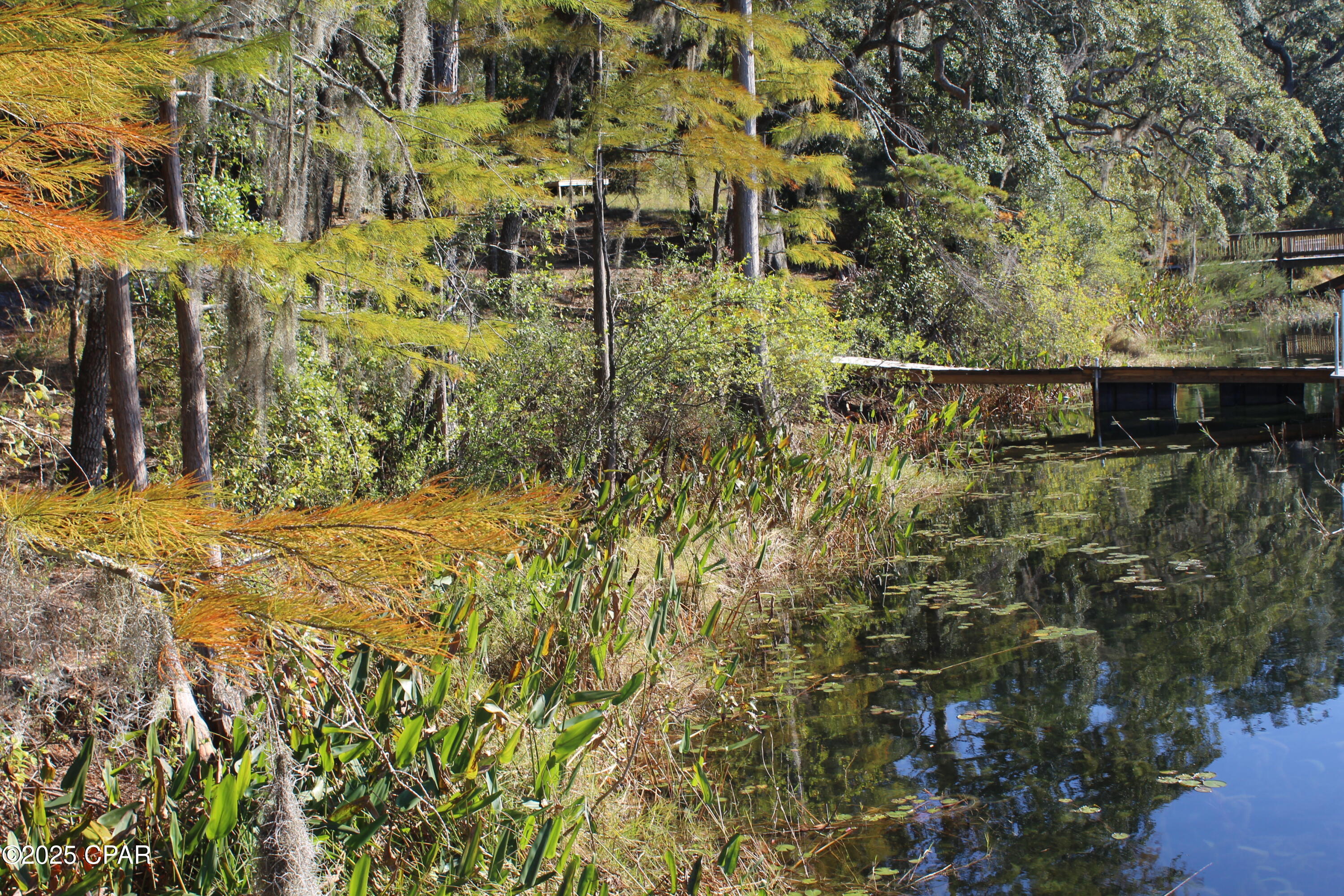 Image 14 For Lot 21 Paradise Lakes Road