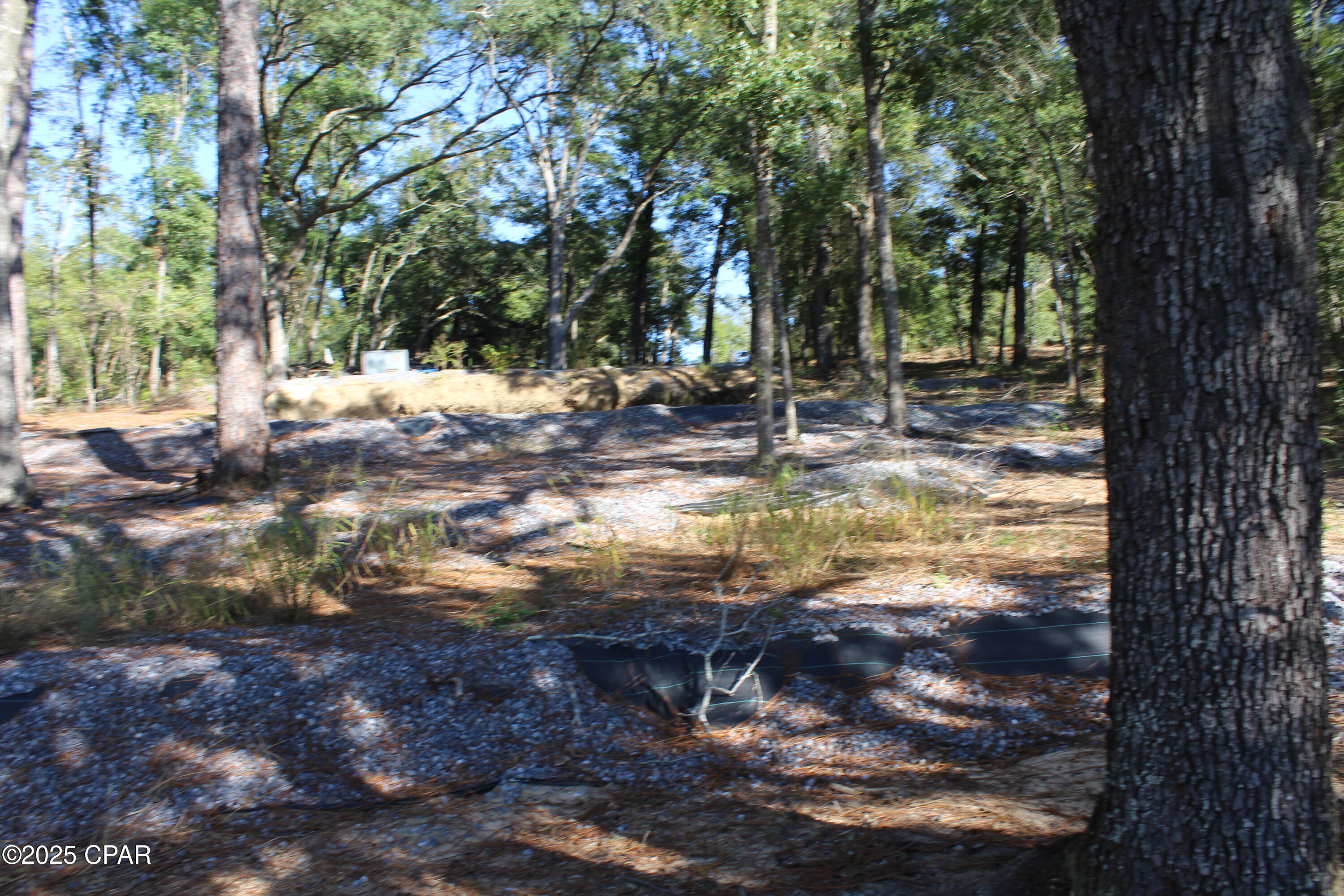 Image 19 For Lot 21 Paradise Lakes Road