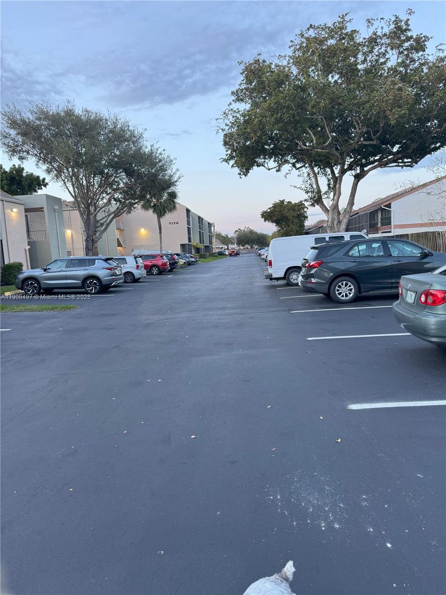 7175 Orange Dr Unit 203 H, Davie, Florida 33314