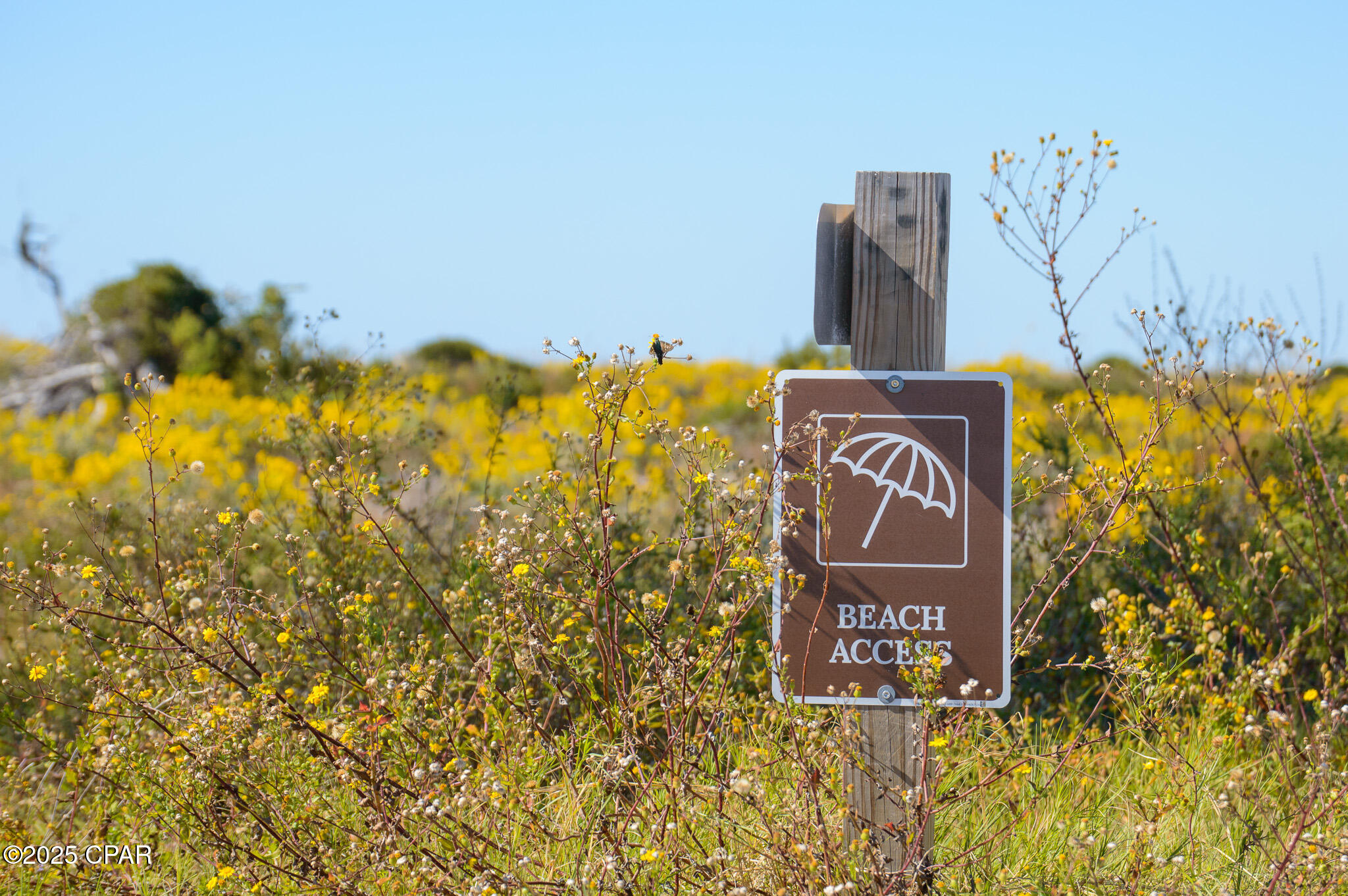 Image 94 For 138 Pond Cypress Cove