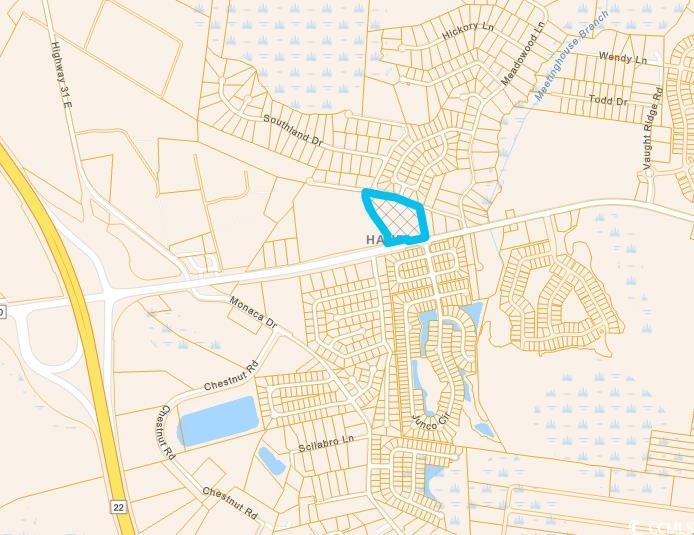 TBD Highway 90 Longs, SC 29568