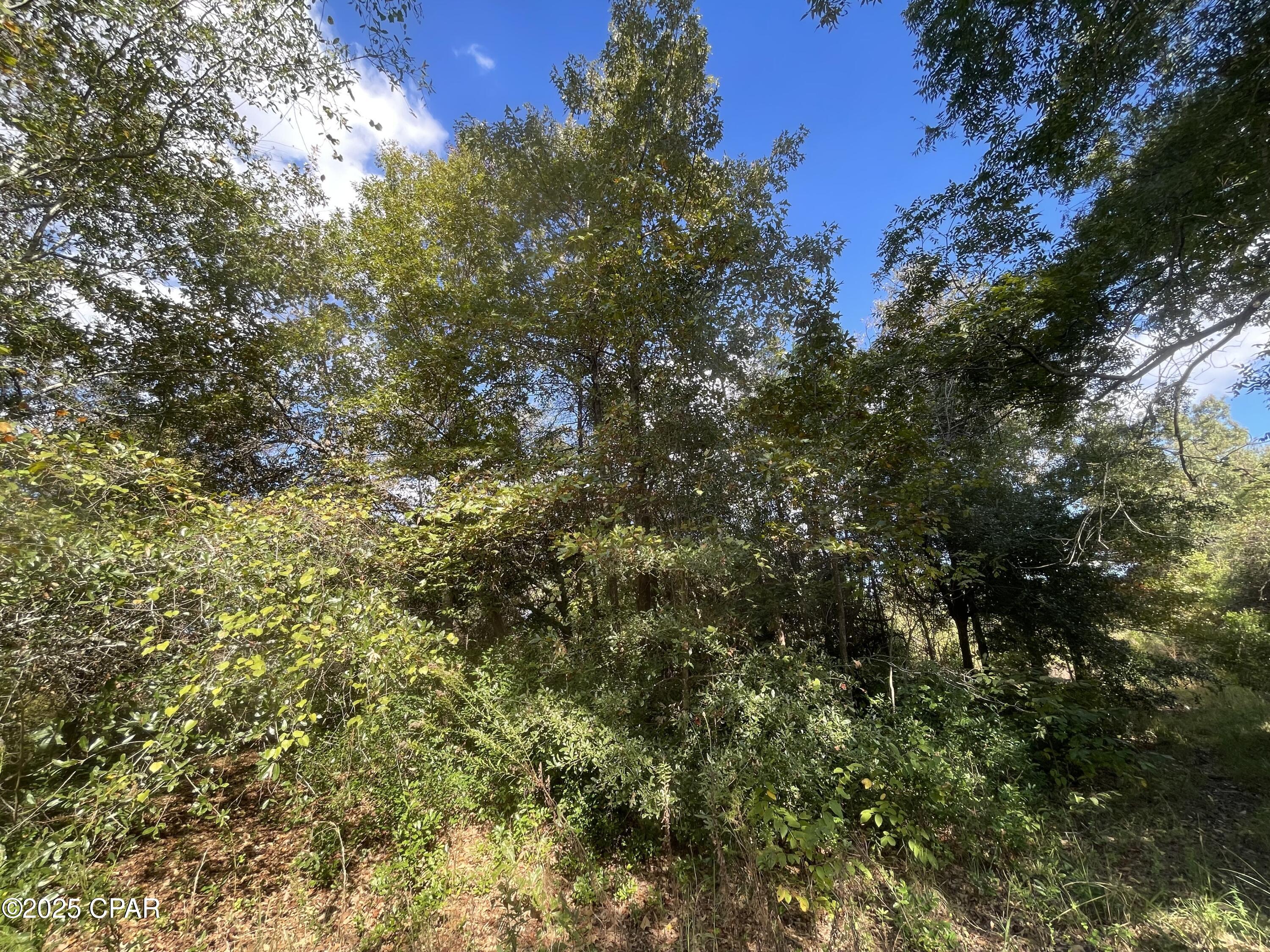 Image 8 For 0005 Welcome Church Road