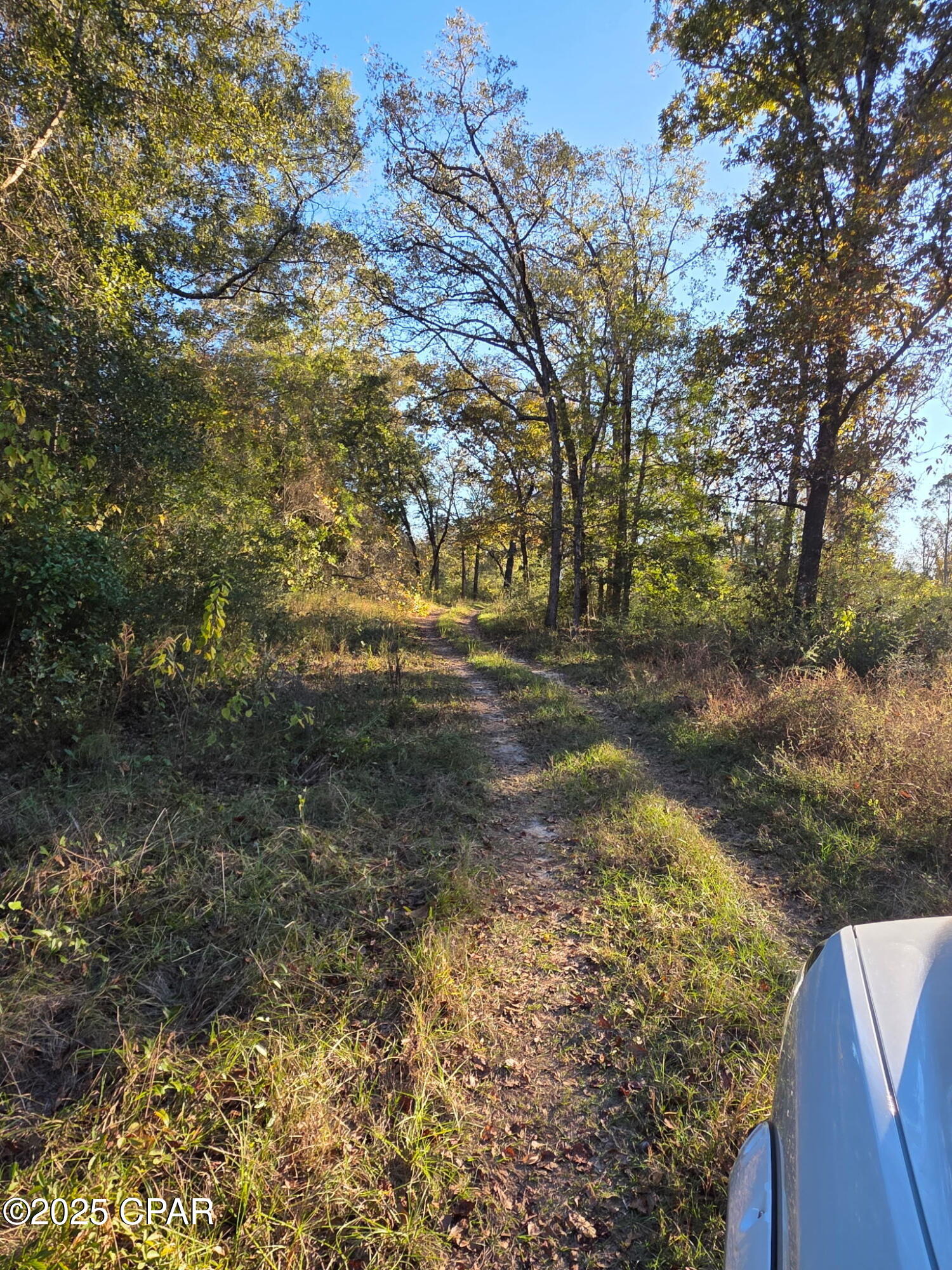 Image 10 For 2785 Otter Pond Road