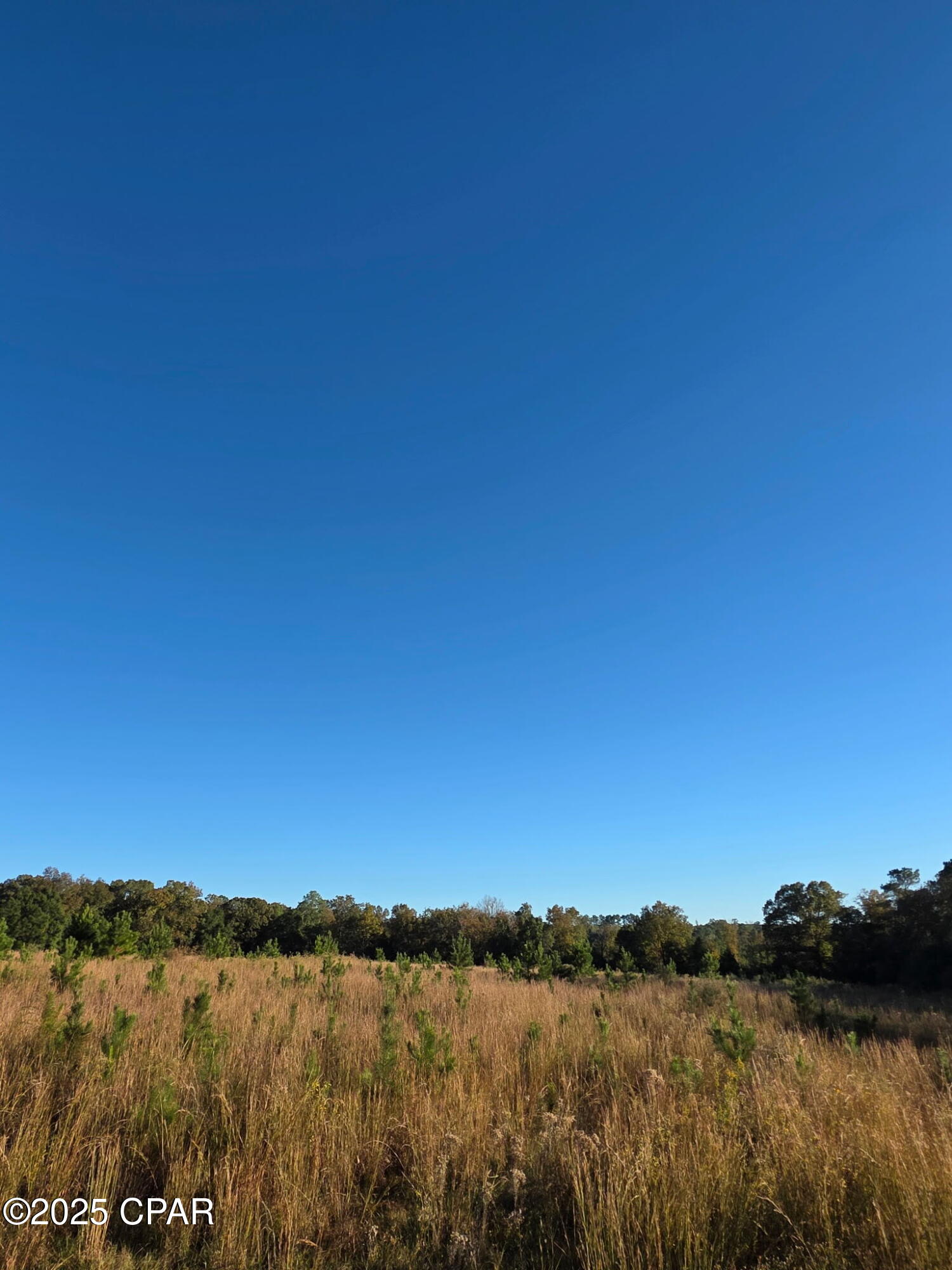 Image 15 For 2785 Otter Pond Road