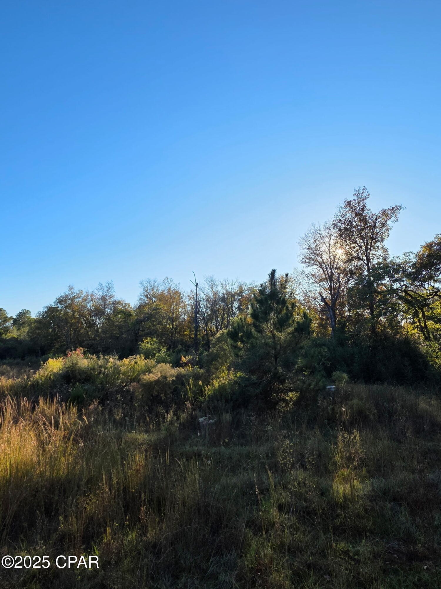 Image 3 For 2785 Otter Pond Road