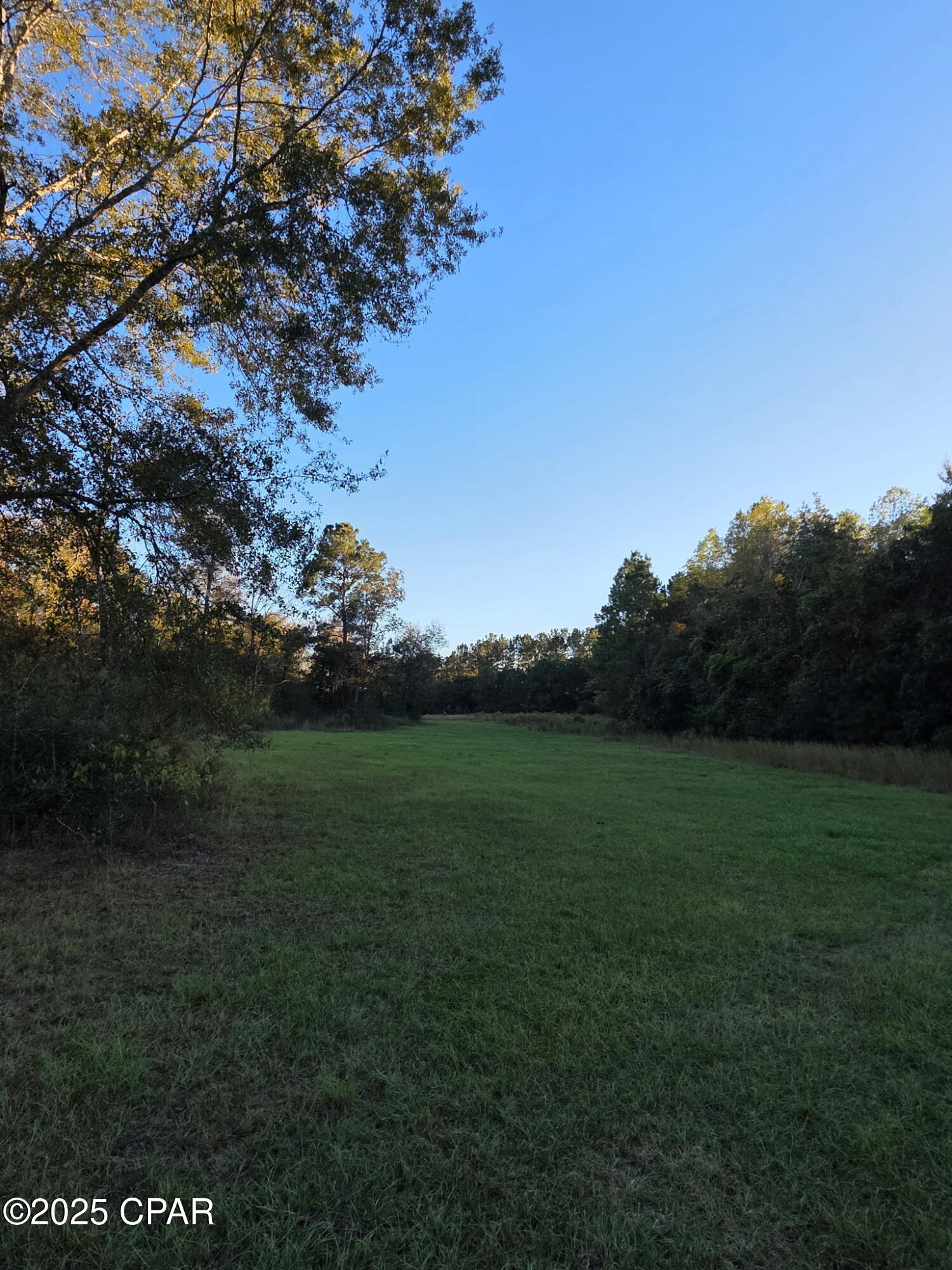 Image 4 For 2785 Otter Pond Road