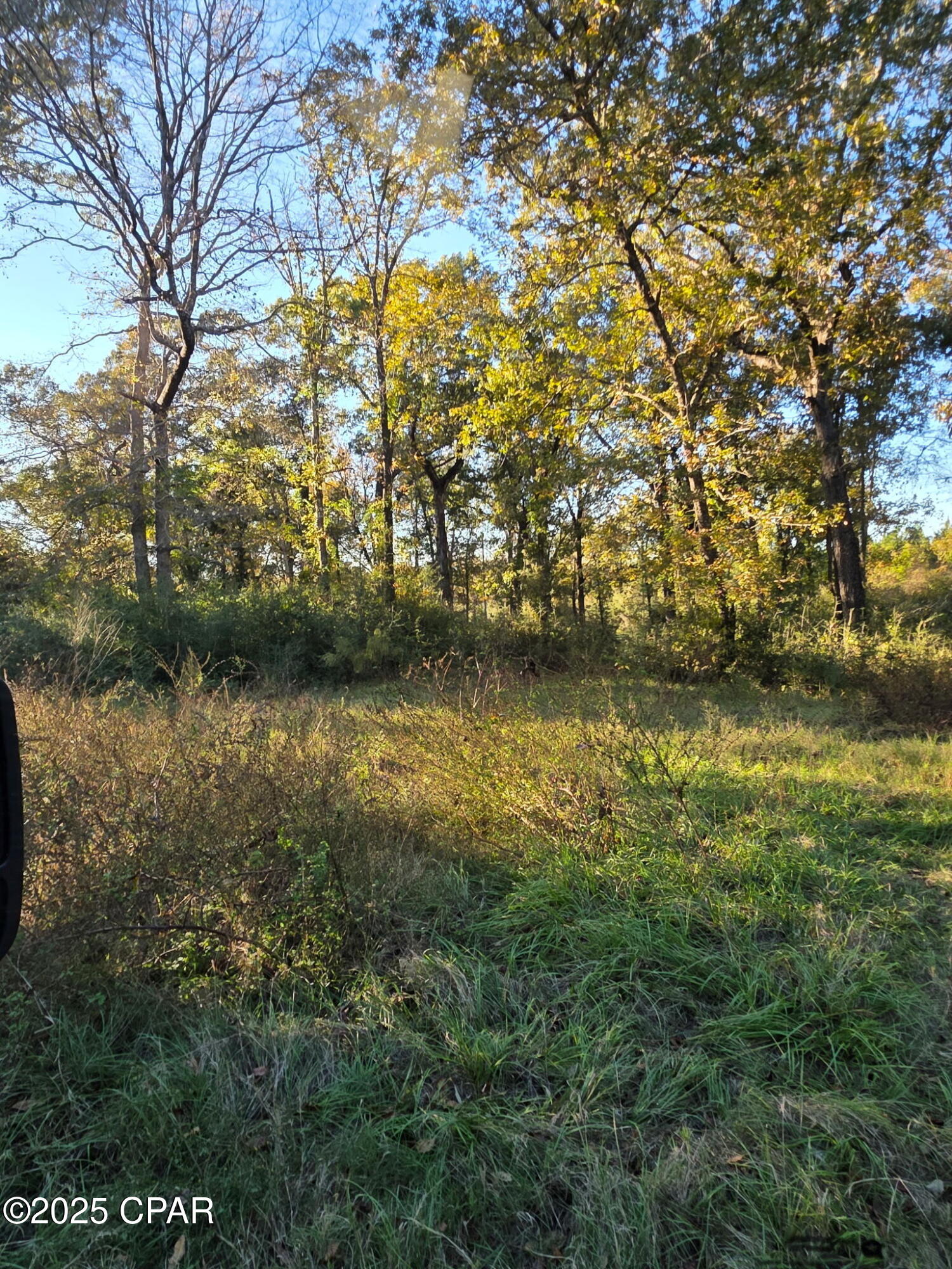 Image 6 For 2785 Otter Pond Road