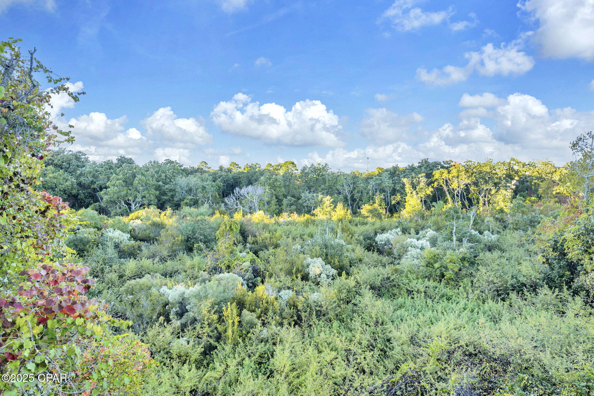 Image 34 For 17680 Front Beach Road B305