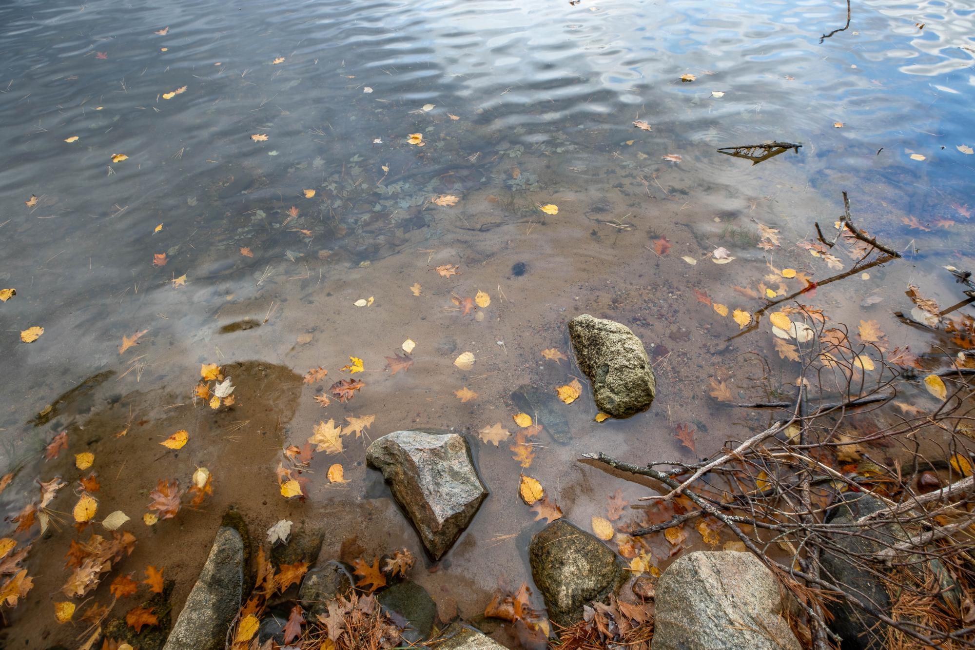 Alva Lake Property 7938 Alva Rd S Photo 4