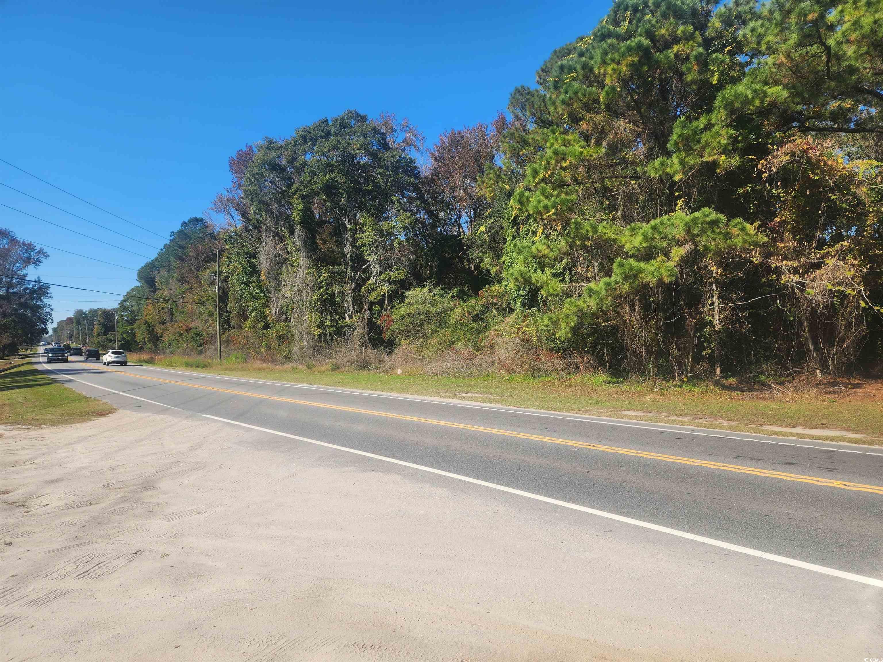 TBD81 Highway 90 Longs, SC 29568