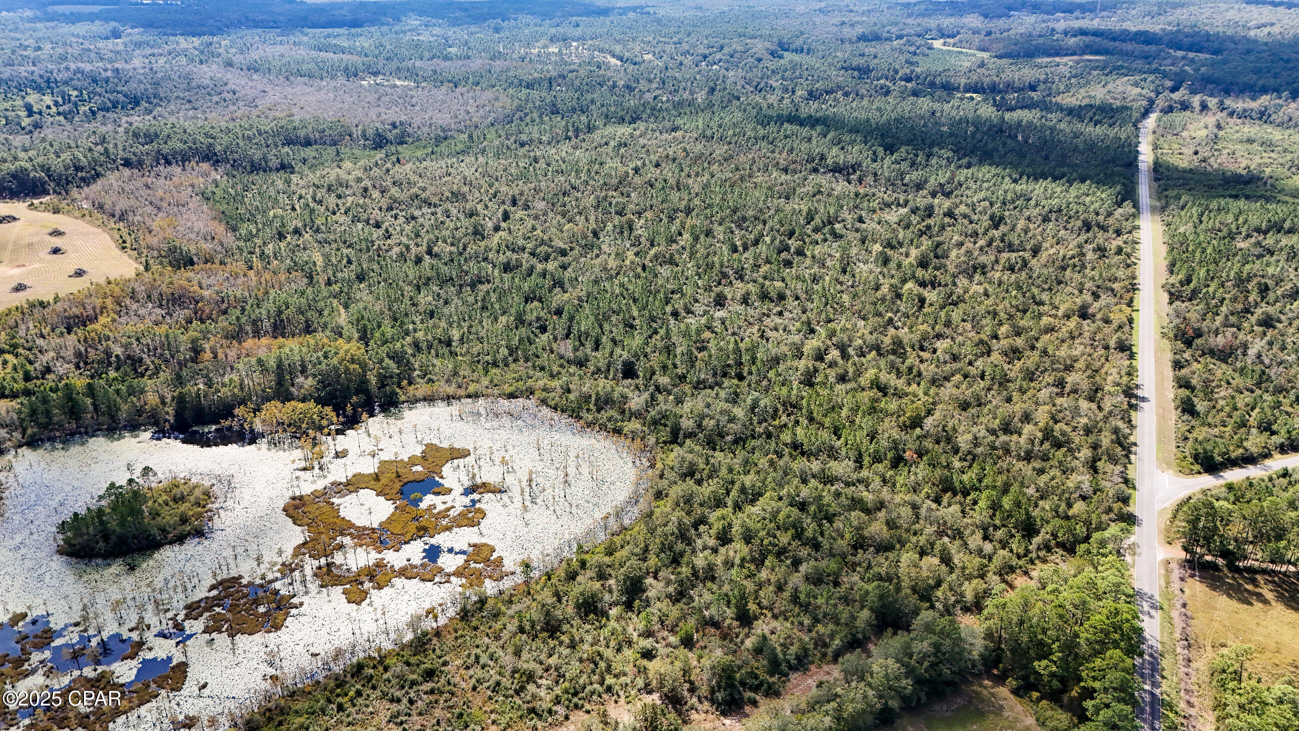 Image 10 For 0 Douglas Ferry Road