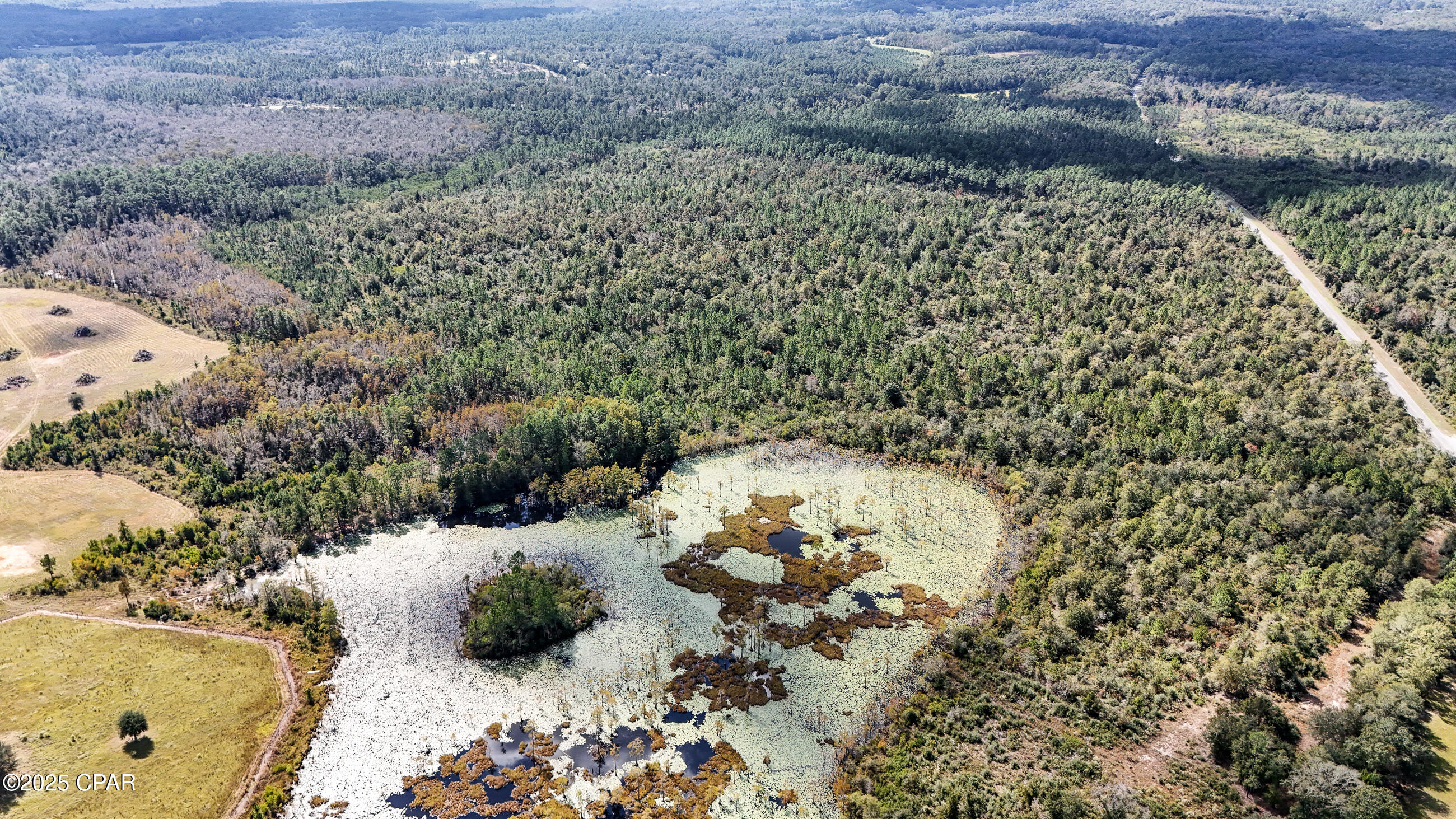 Image 11 For 0 Douglas Ferry Road