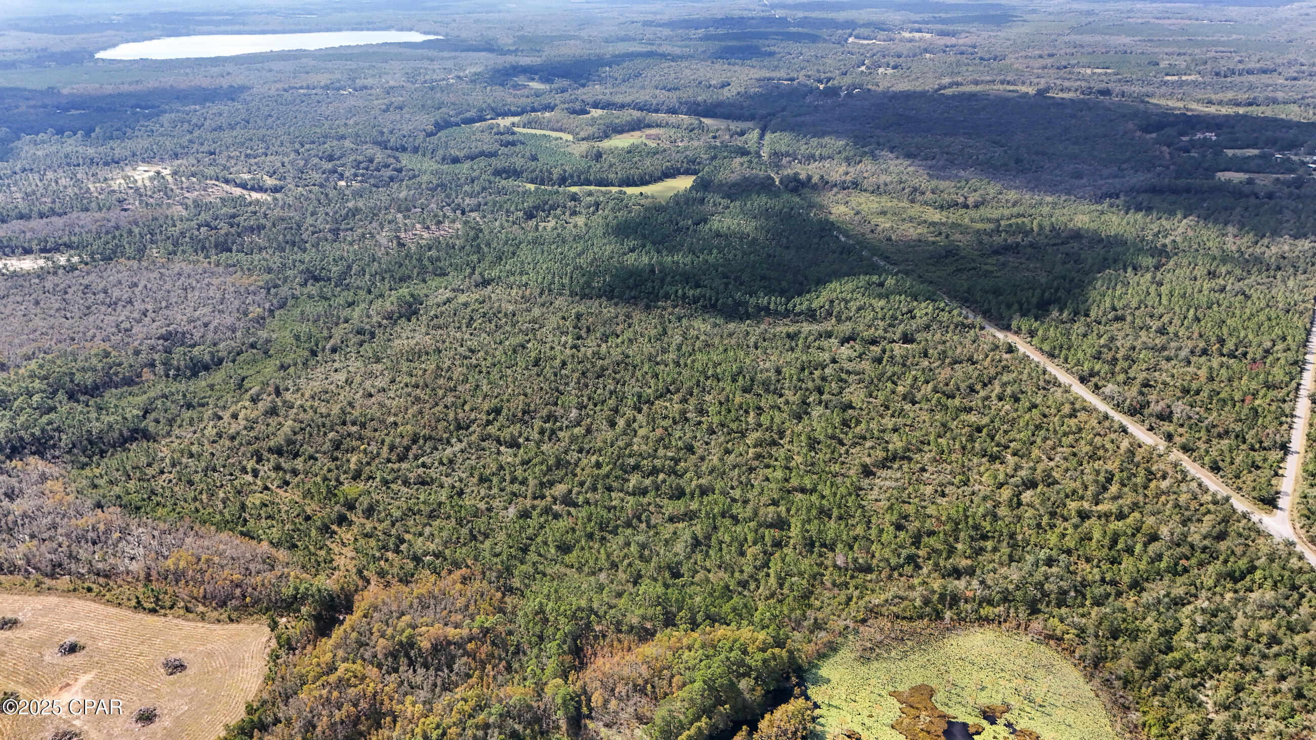 Image 12 For 0 Douglas Ferry Road