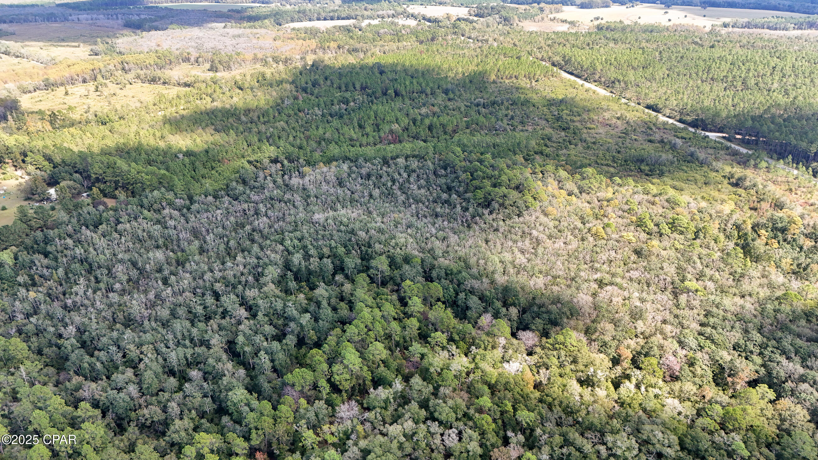 Image 13 For 0 Douglas Ferry Road