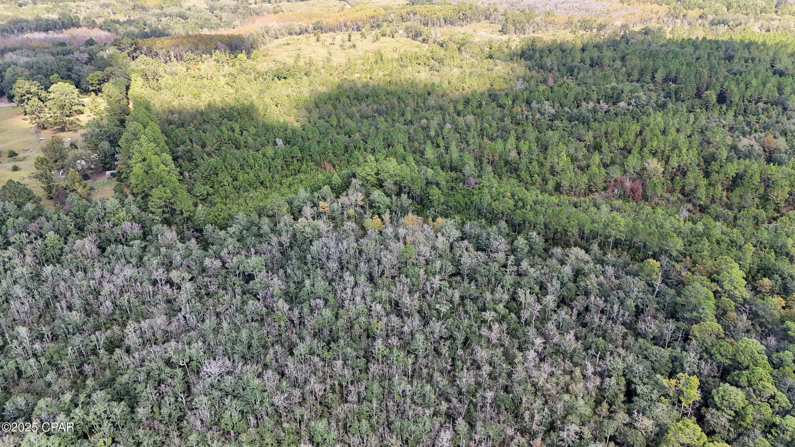 Image 14 For 0 Douglas Ferry Road