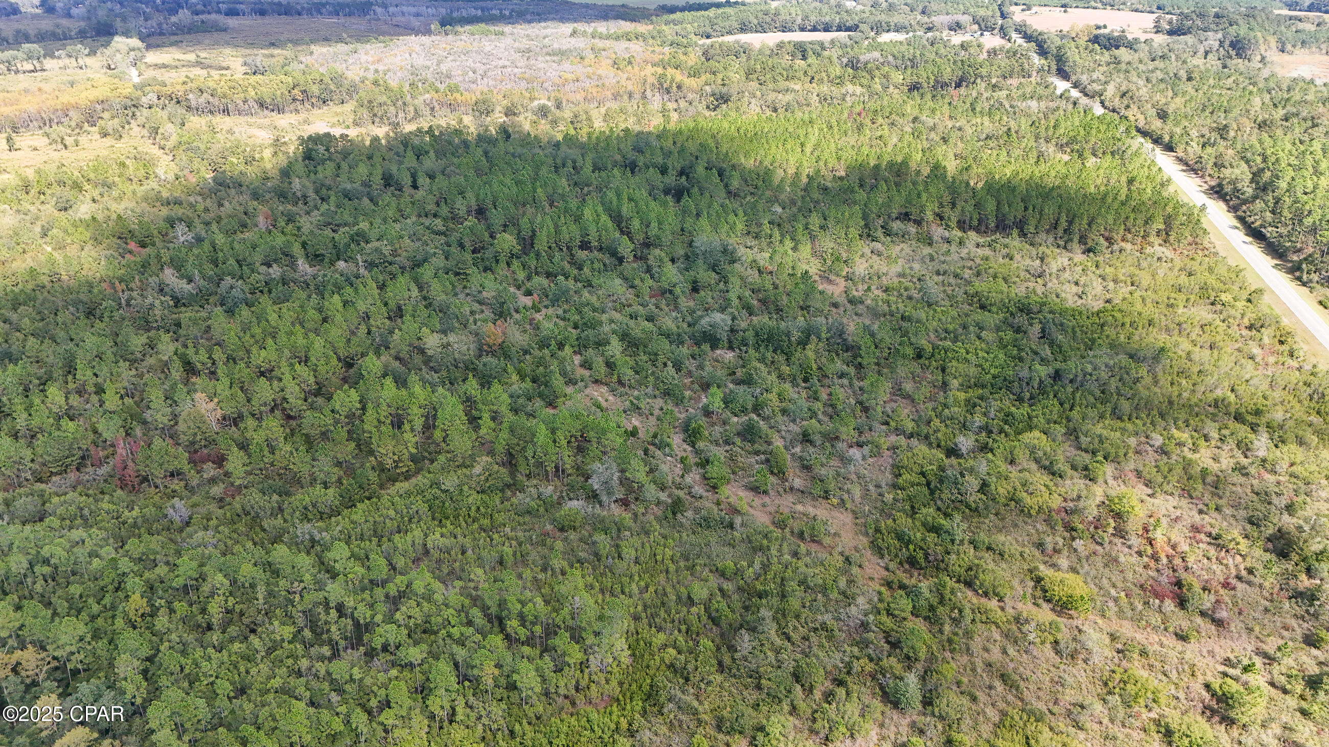 Image 17 For 0 Douglas Ferry Road