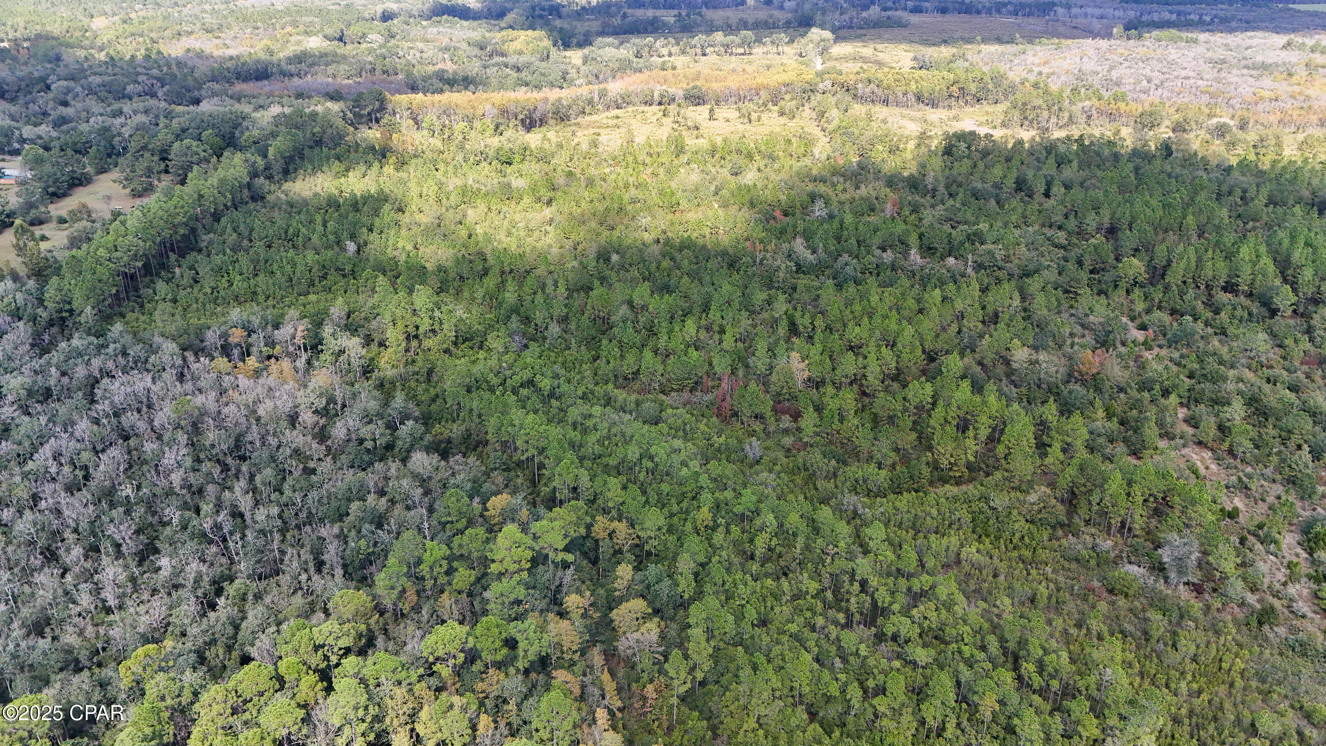 Image 18 For 0 Douglas Ferry Road