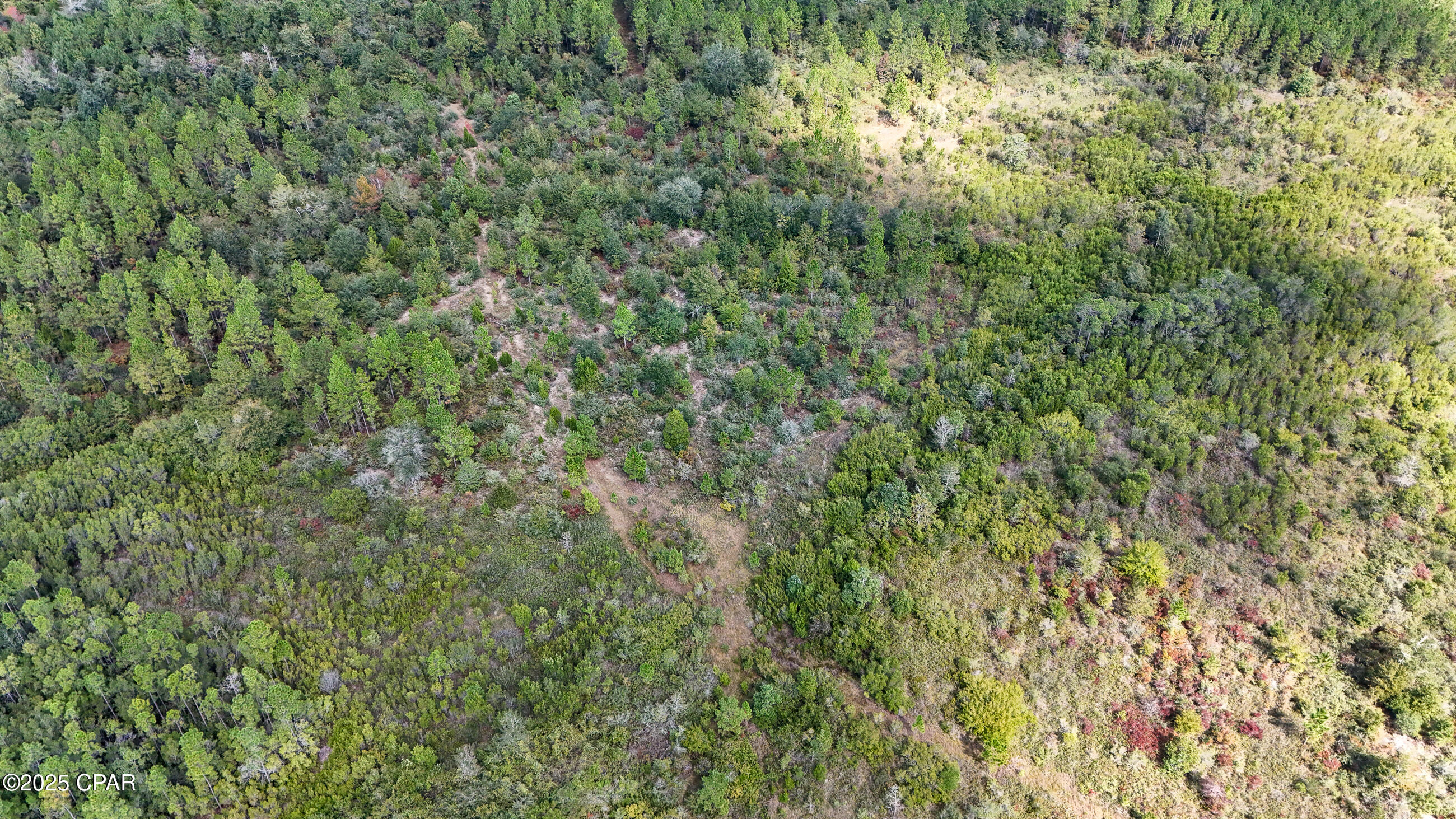 Image 19 For 0 Douglas Ferry Road