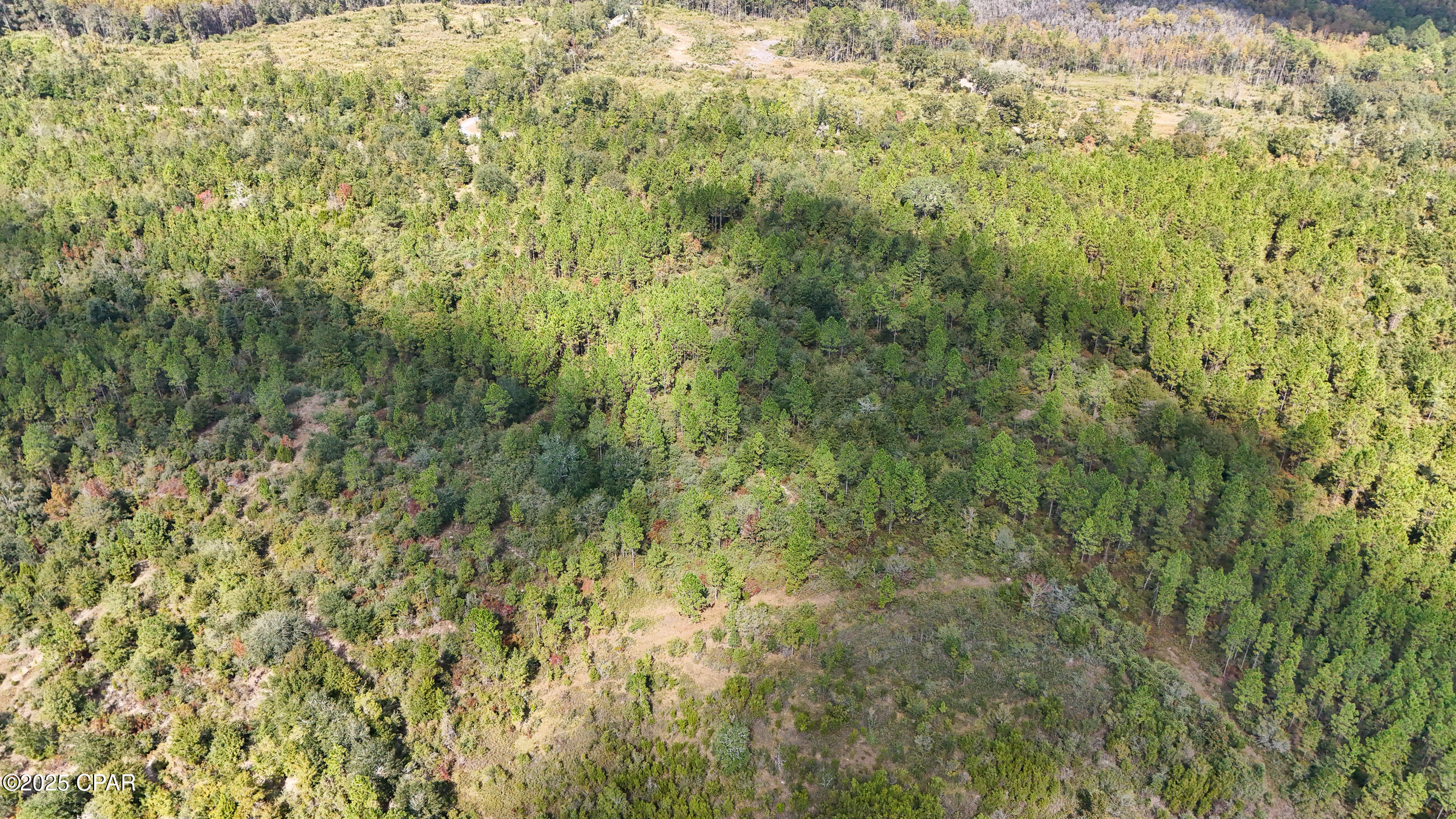 Image 6 For 0 Douglas Ferry Road