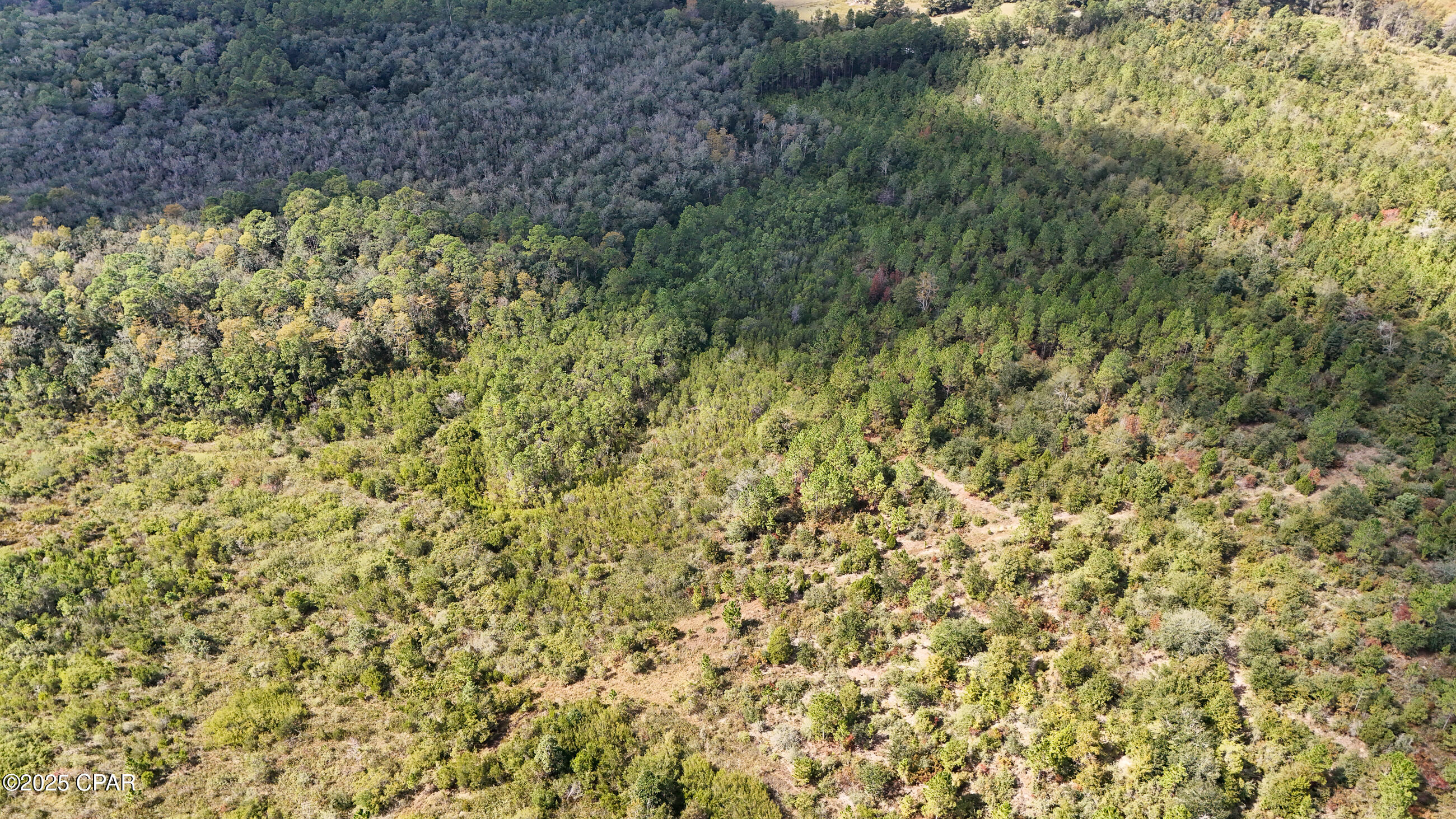 Image 7 For 0 Douglas Ferry Road