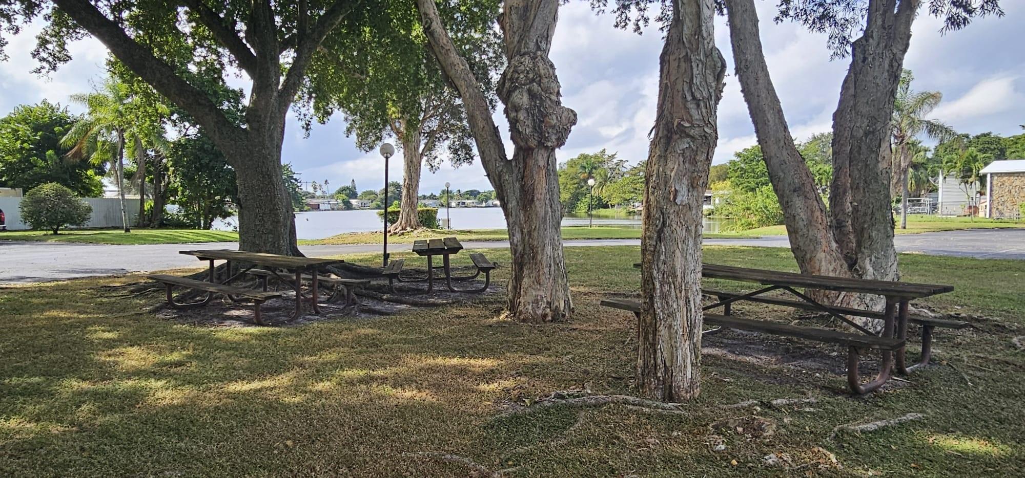 Homes for sale in Pembroke Pines, FL | 21511 Nw 3rd St, Pembroke Pines, FL 33029 | MLS# F10535815