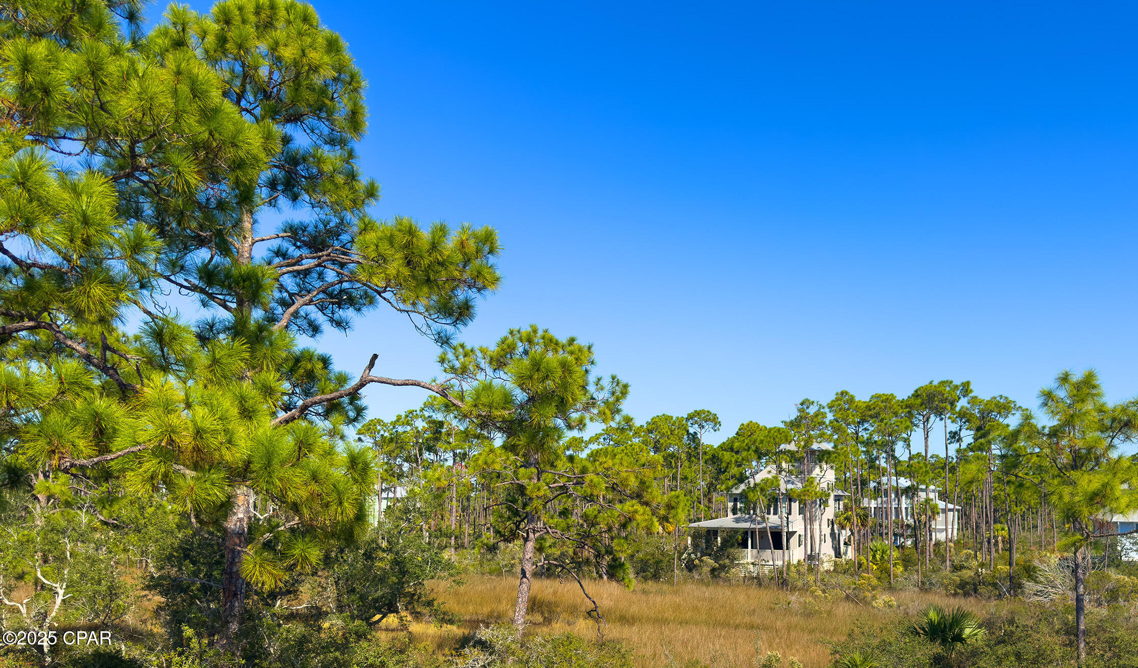 Image 31 For 436 Windmark Way