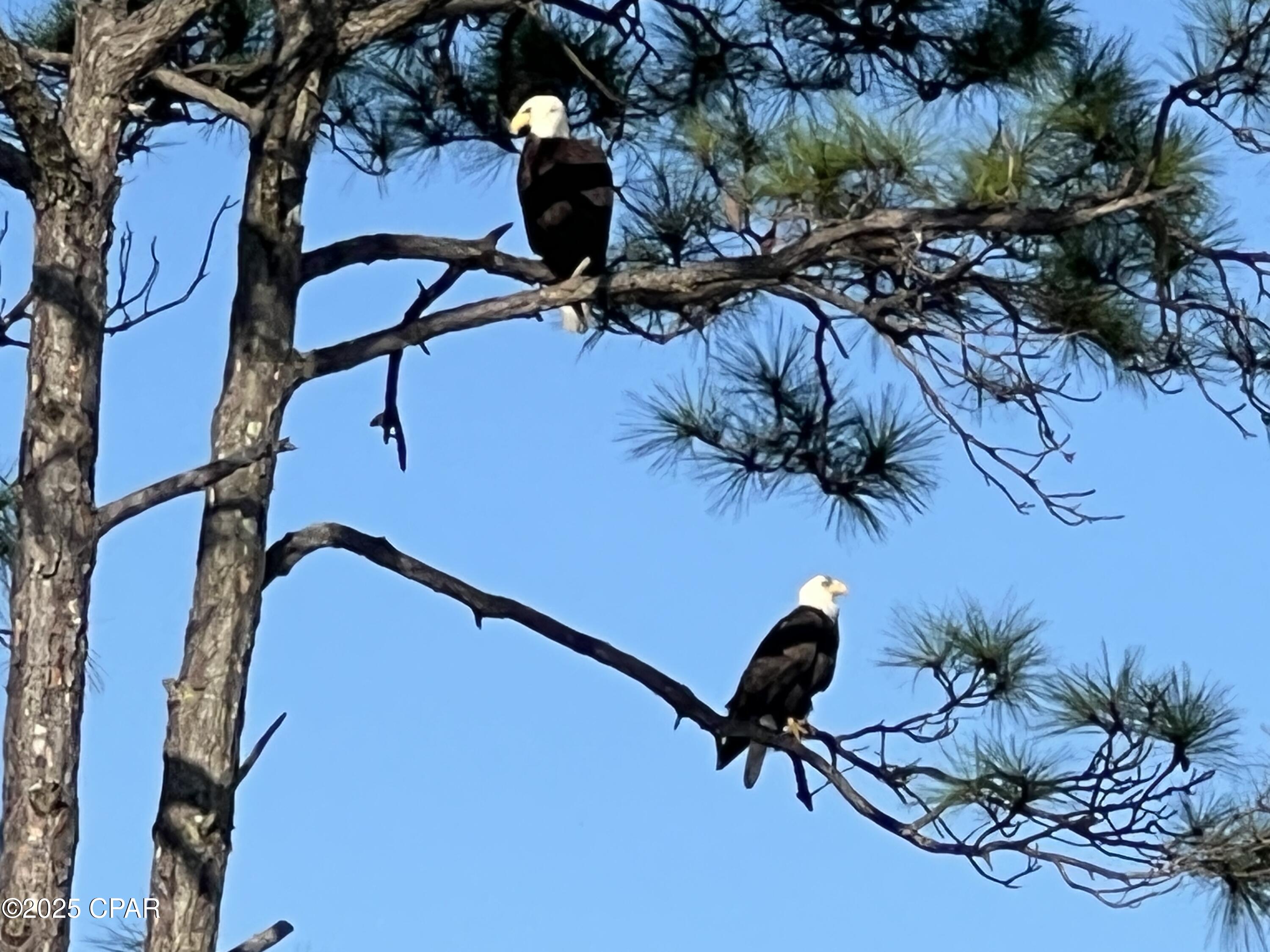 Image 41 For 436 Windmark Way