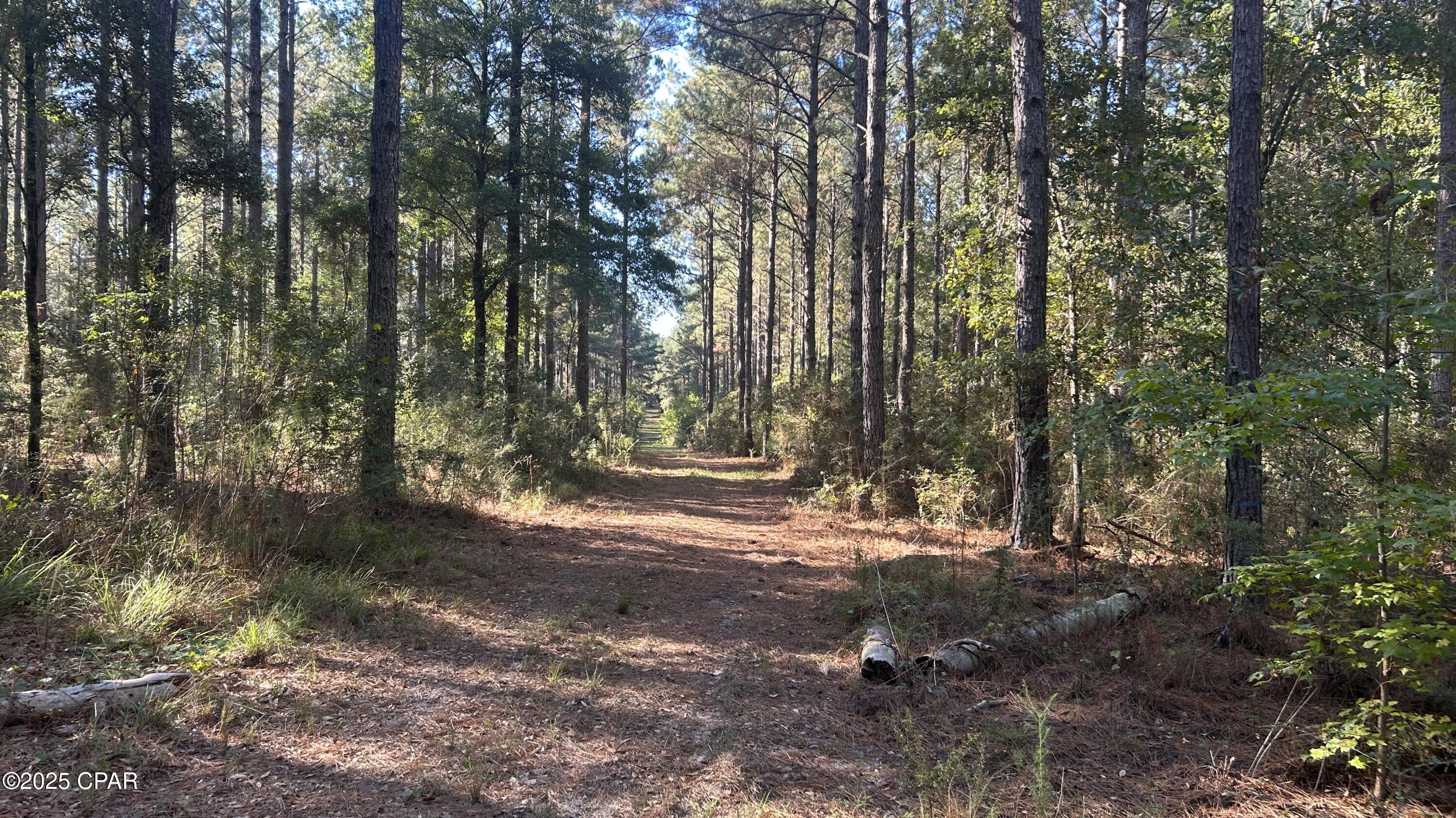 Image 11 For Xxx Co 147 Highway