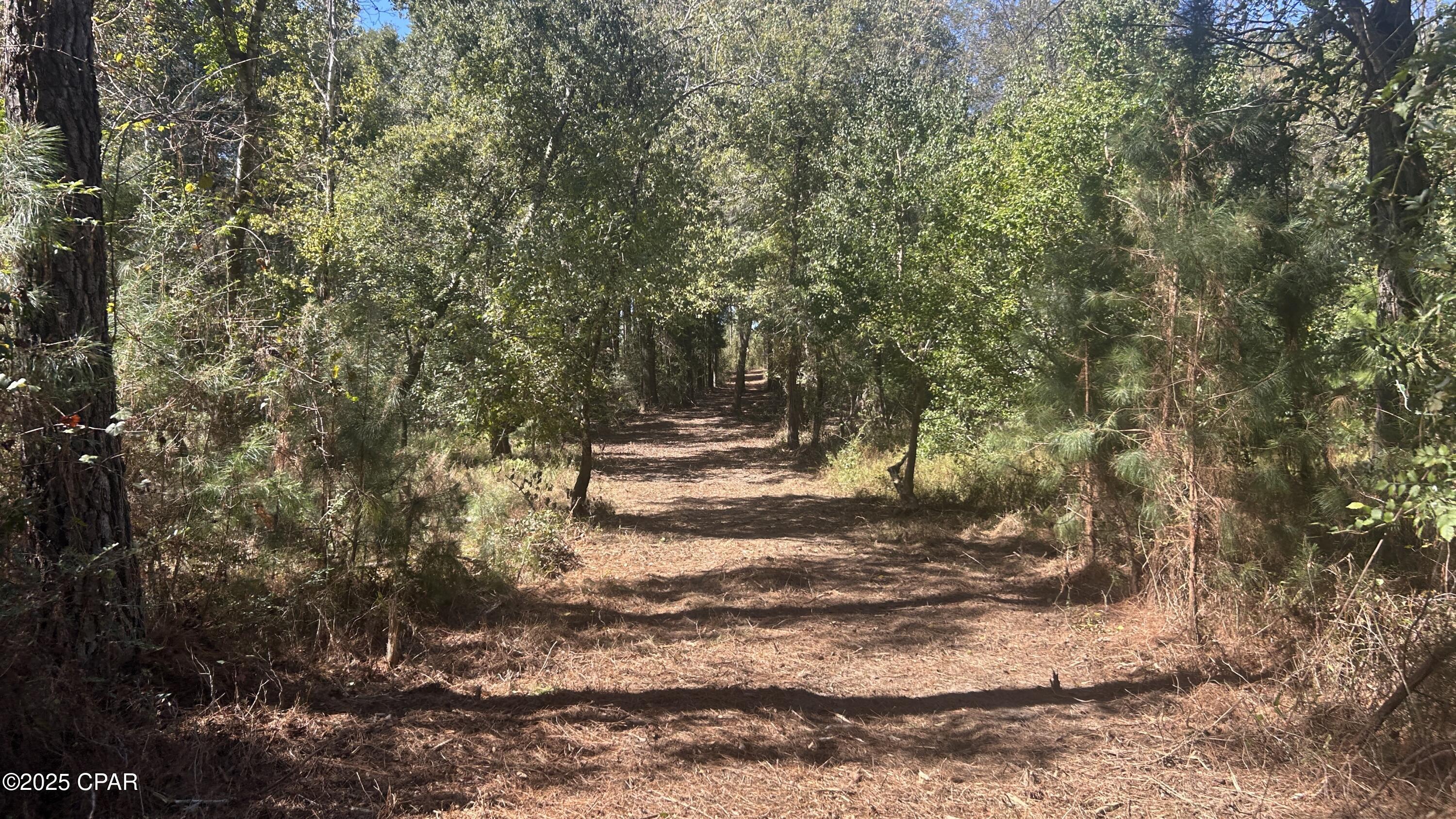 Image 12 For Xxx Co 147 Highway