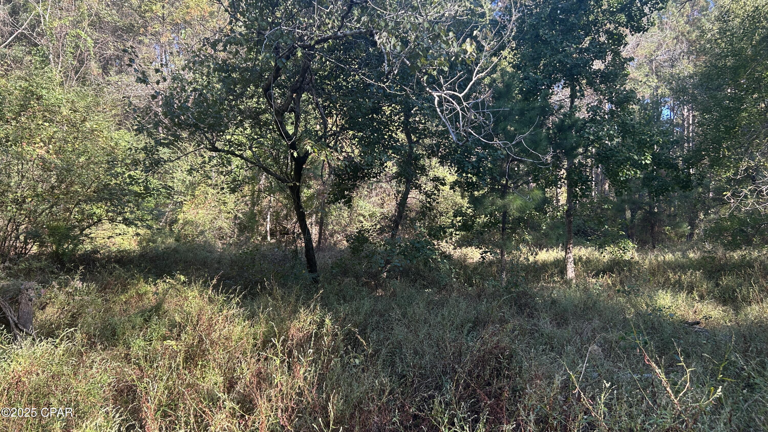 Image 13 For Xxx Co 147 Highway