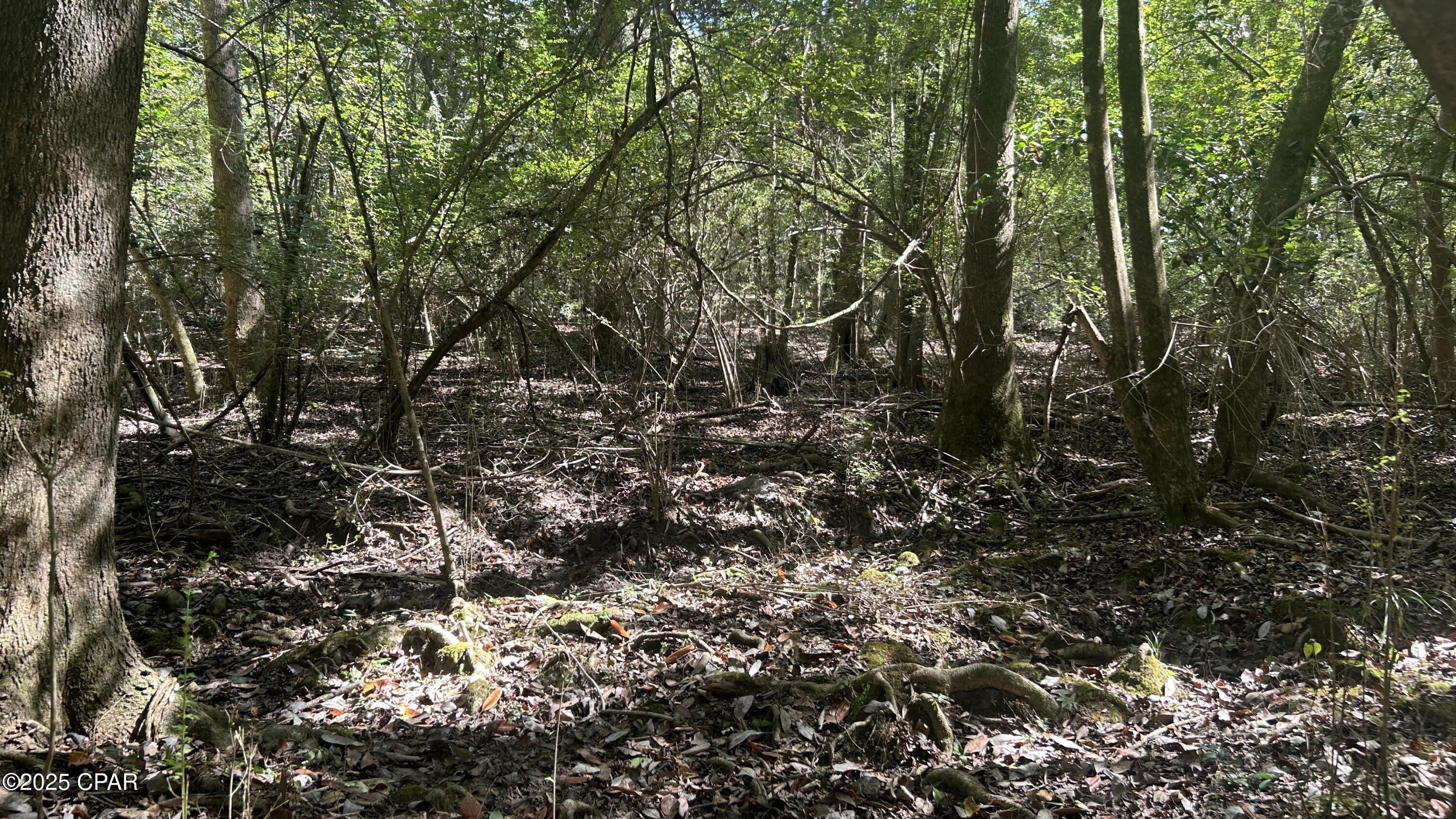 Image 14 For Xxx Co 147 Highway