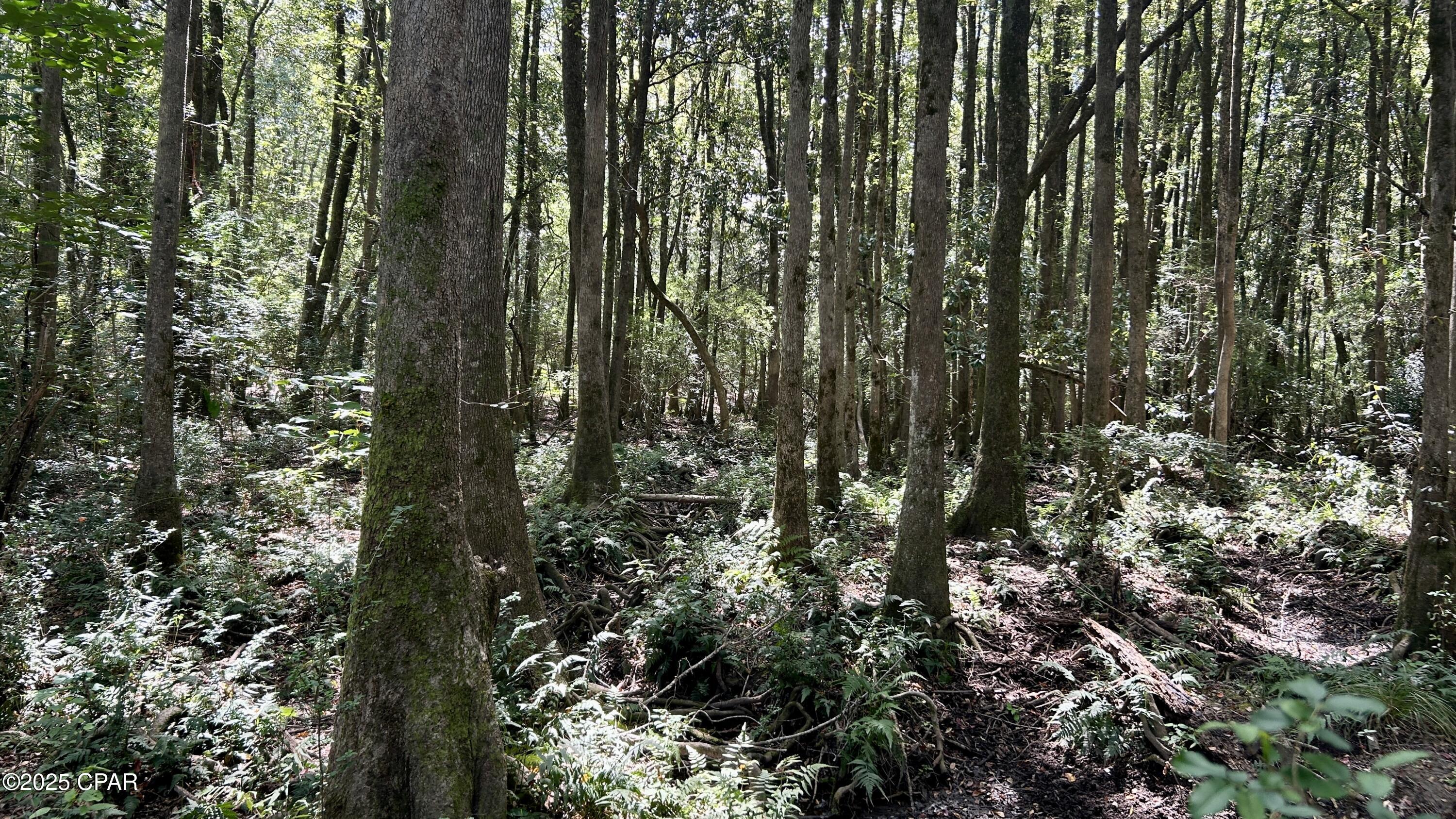 Image 15 For Xxx Co 147 Highway